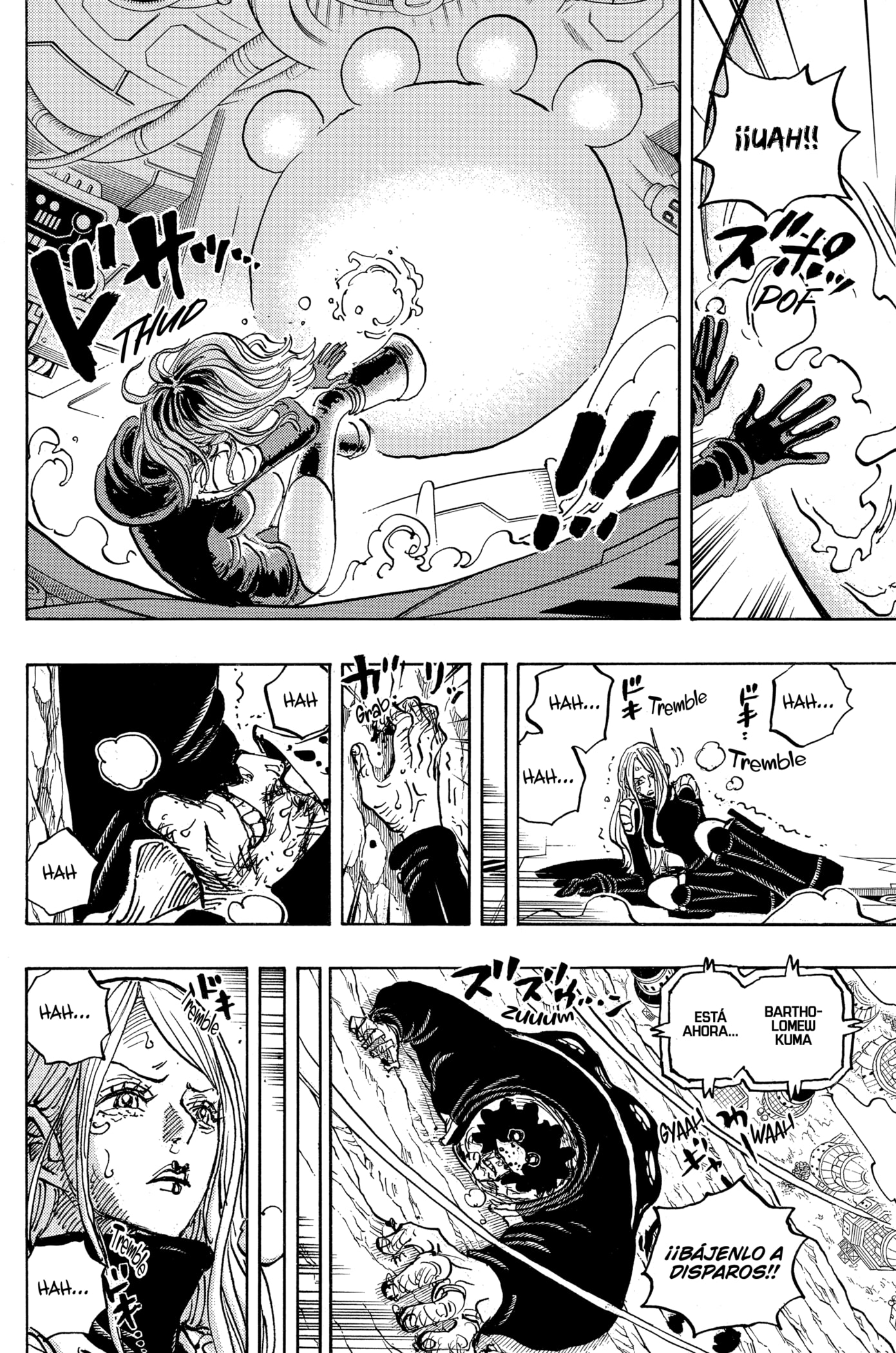 One Piece Capitulo 1074 página 14