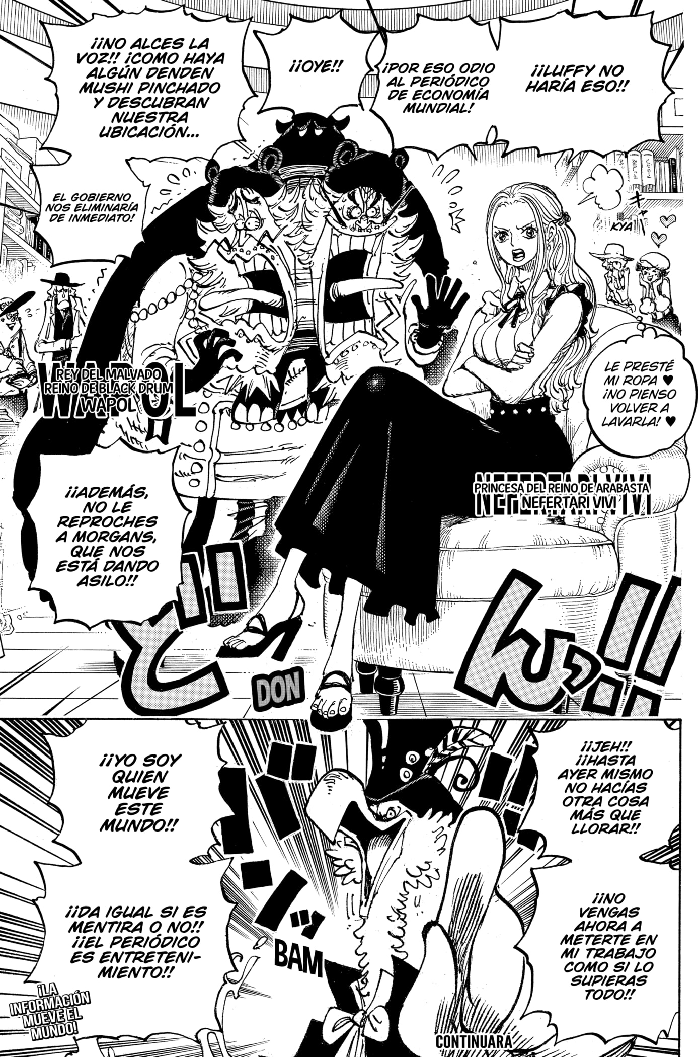 One Piece Capitulo 1074 página 17