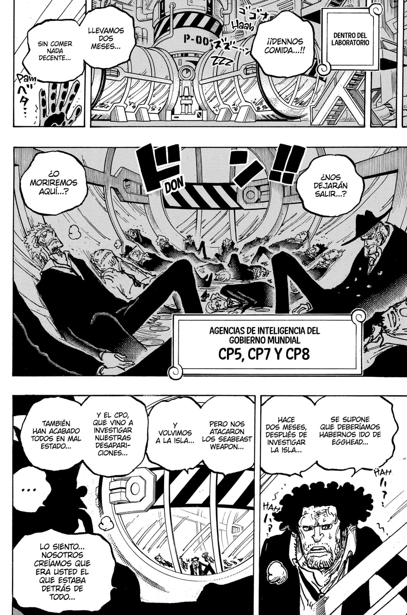 One Piece Capitulo 1076: "Viejos Amigos" página 11