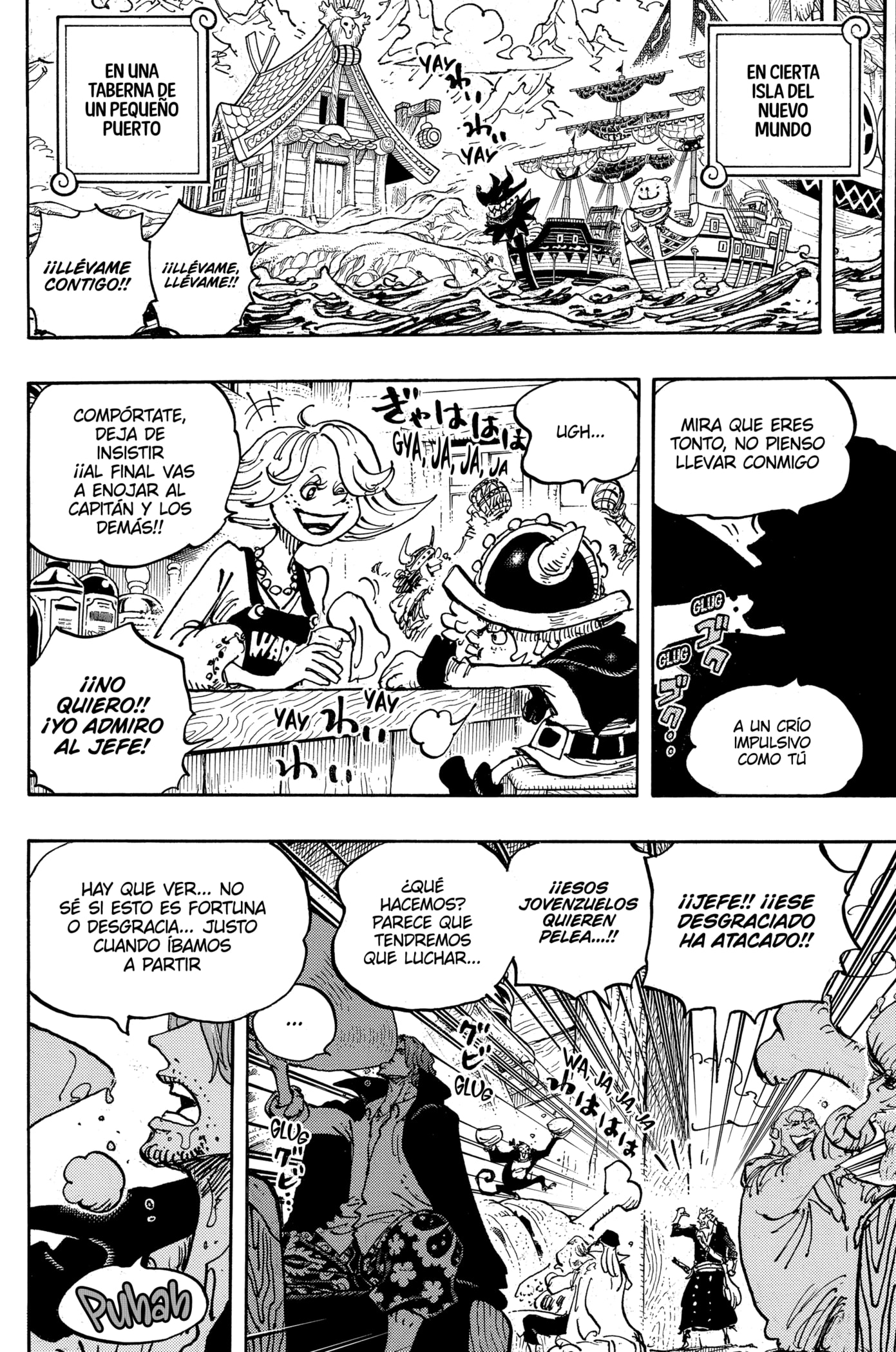 One Piece Capitulo 1076: "Viejos Amigos" página 13