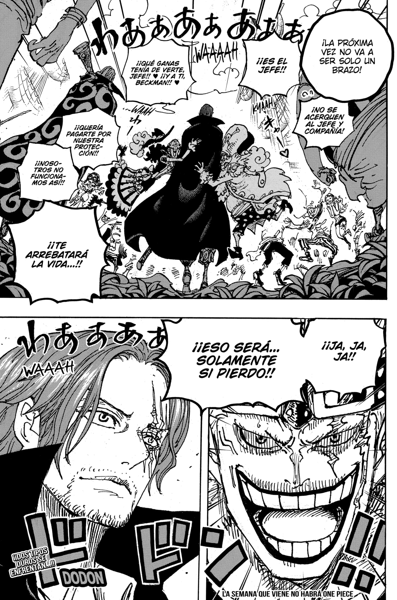 One Piece Capitulo 1076: "Viejos Amigos" página 18