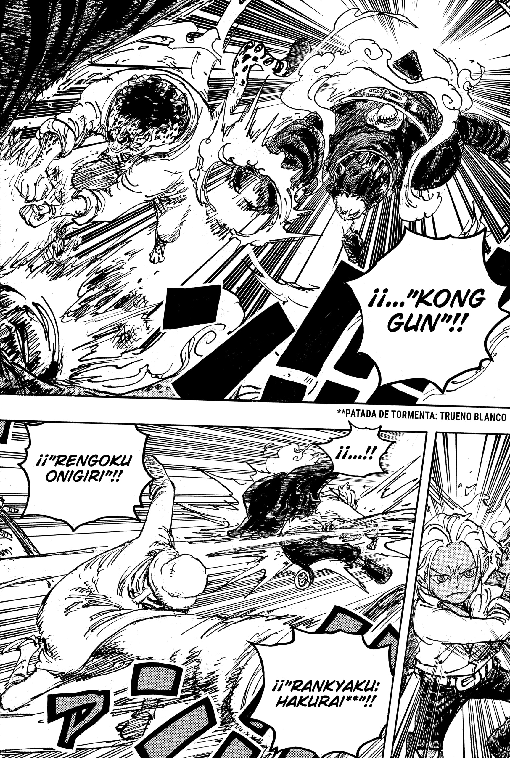 One Piece Capitulo 1076: "Viejos Amigos" página 9