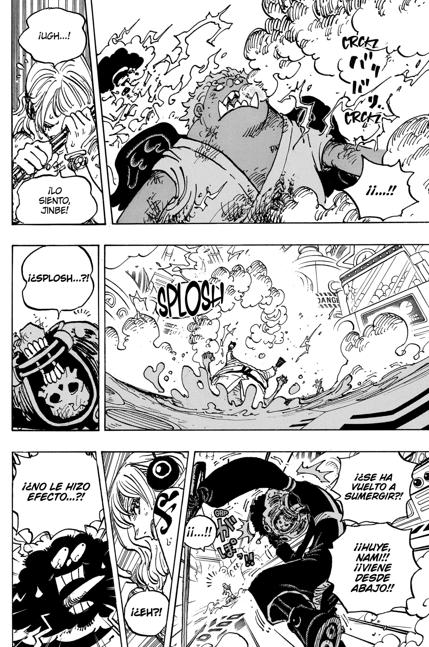 One Piece Capitulo 1077: "Tuviste que Haberte dado Cuenta Antes" página 10