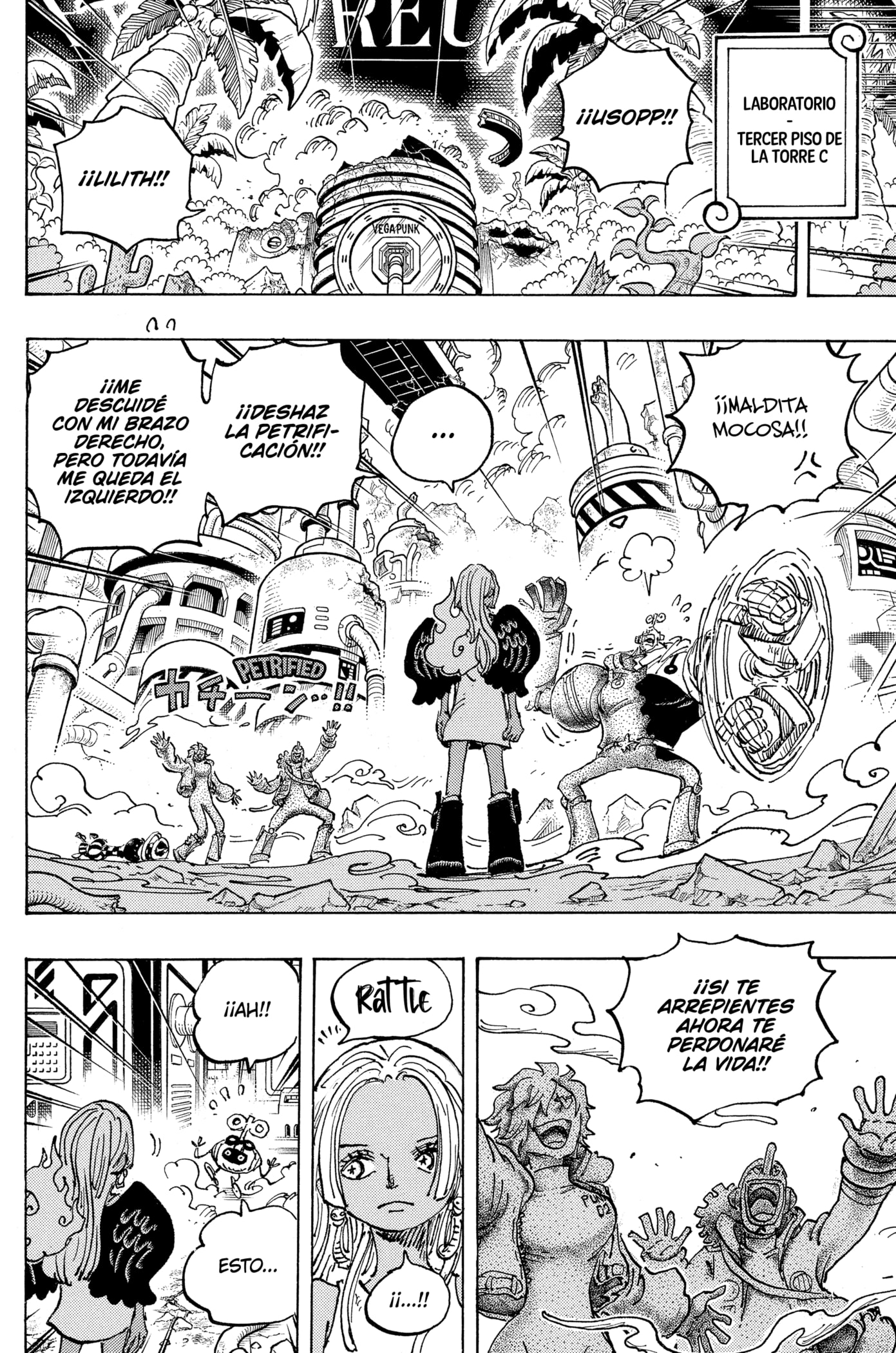 One Piece Capitulo 1078: "Tiempo al Límite para el Escape" página 4
