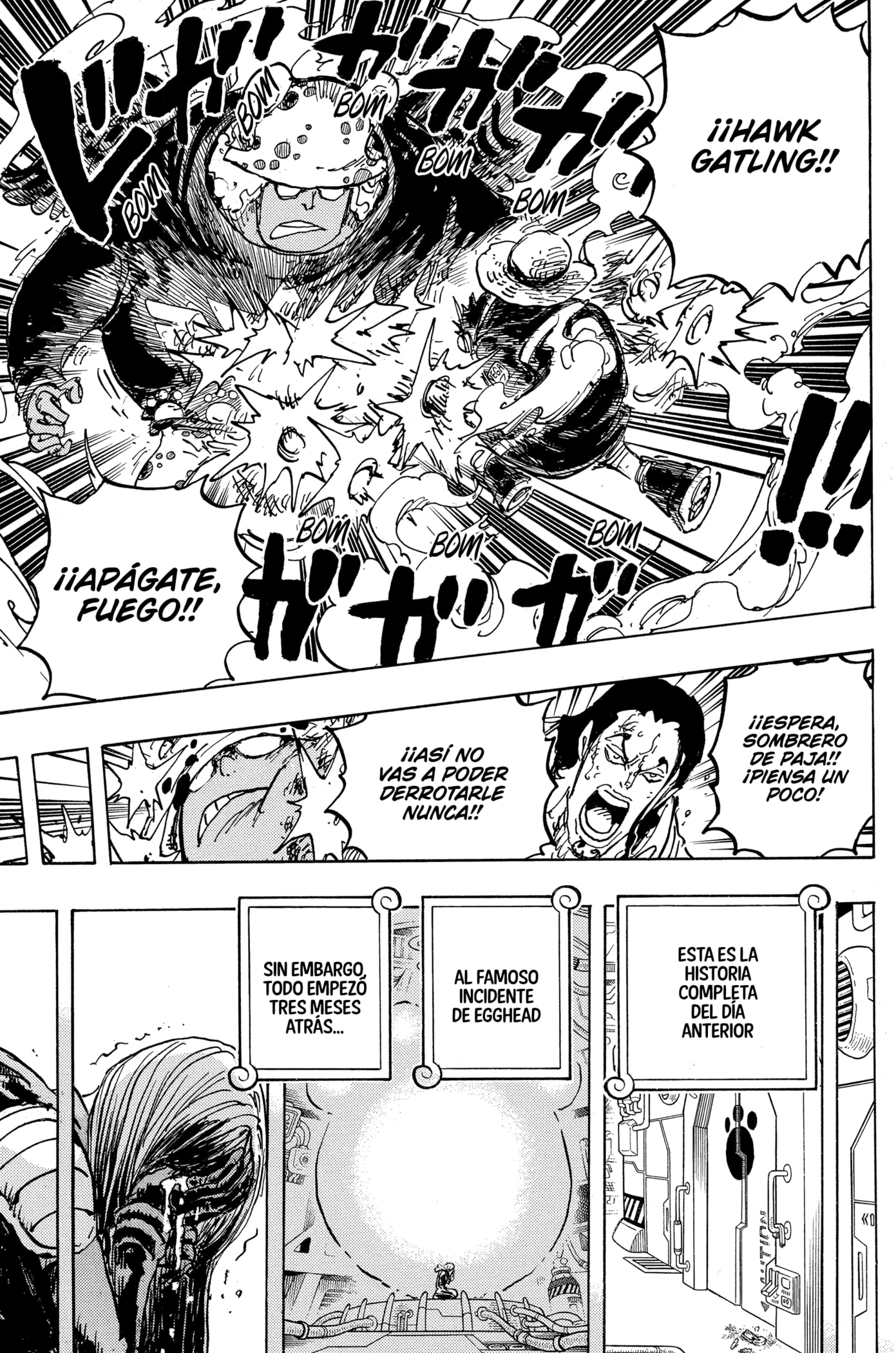 One Piece Capitulo 1078: "Tiempo al Límite para el Escape" página 9