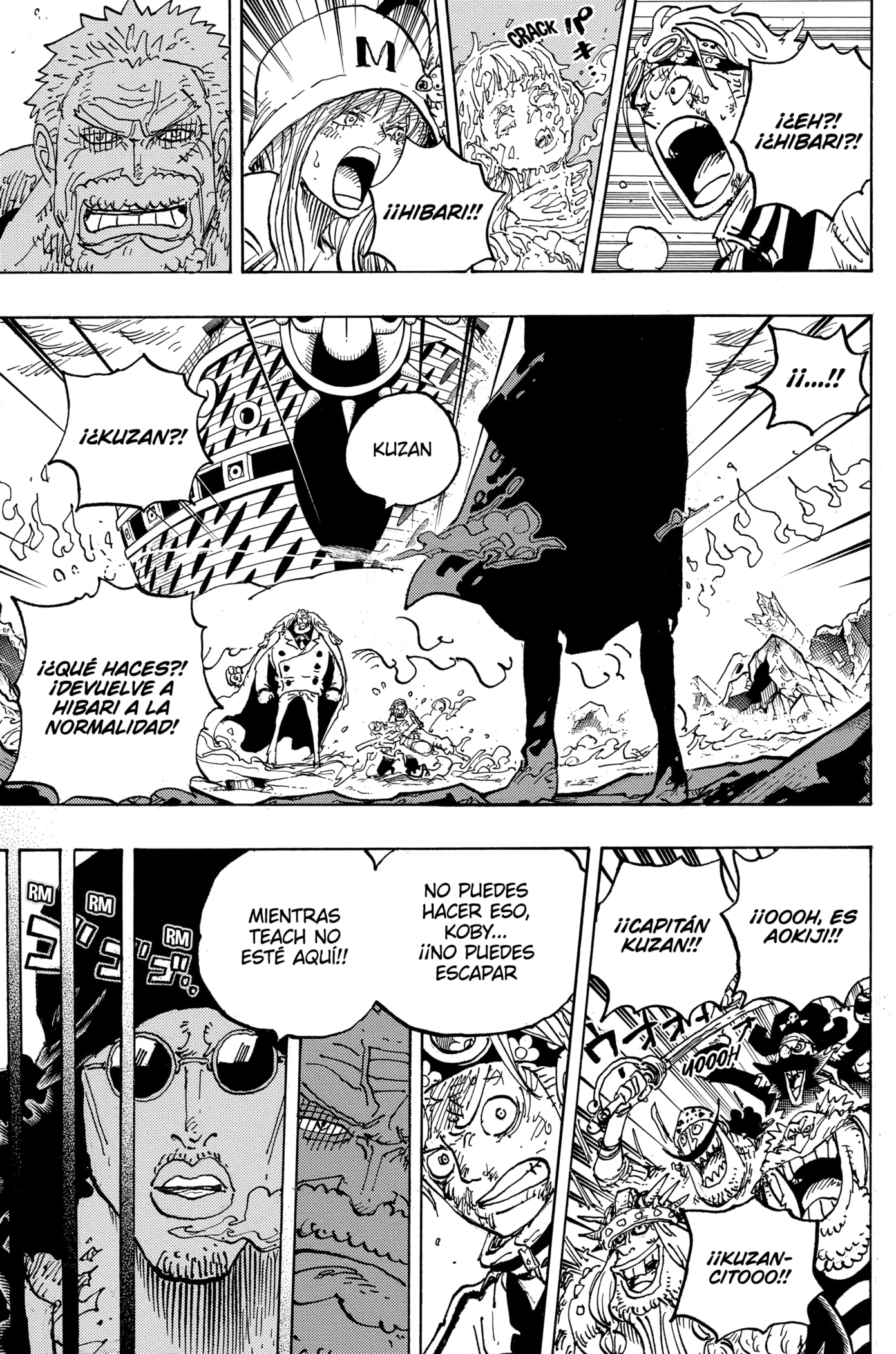 One Piece Capitulo 1081: "Kuzan, el décimo Capitán de los Piratas de Barbanegra" página 8