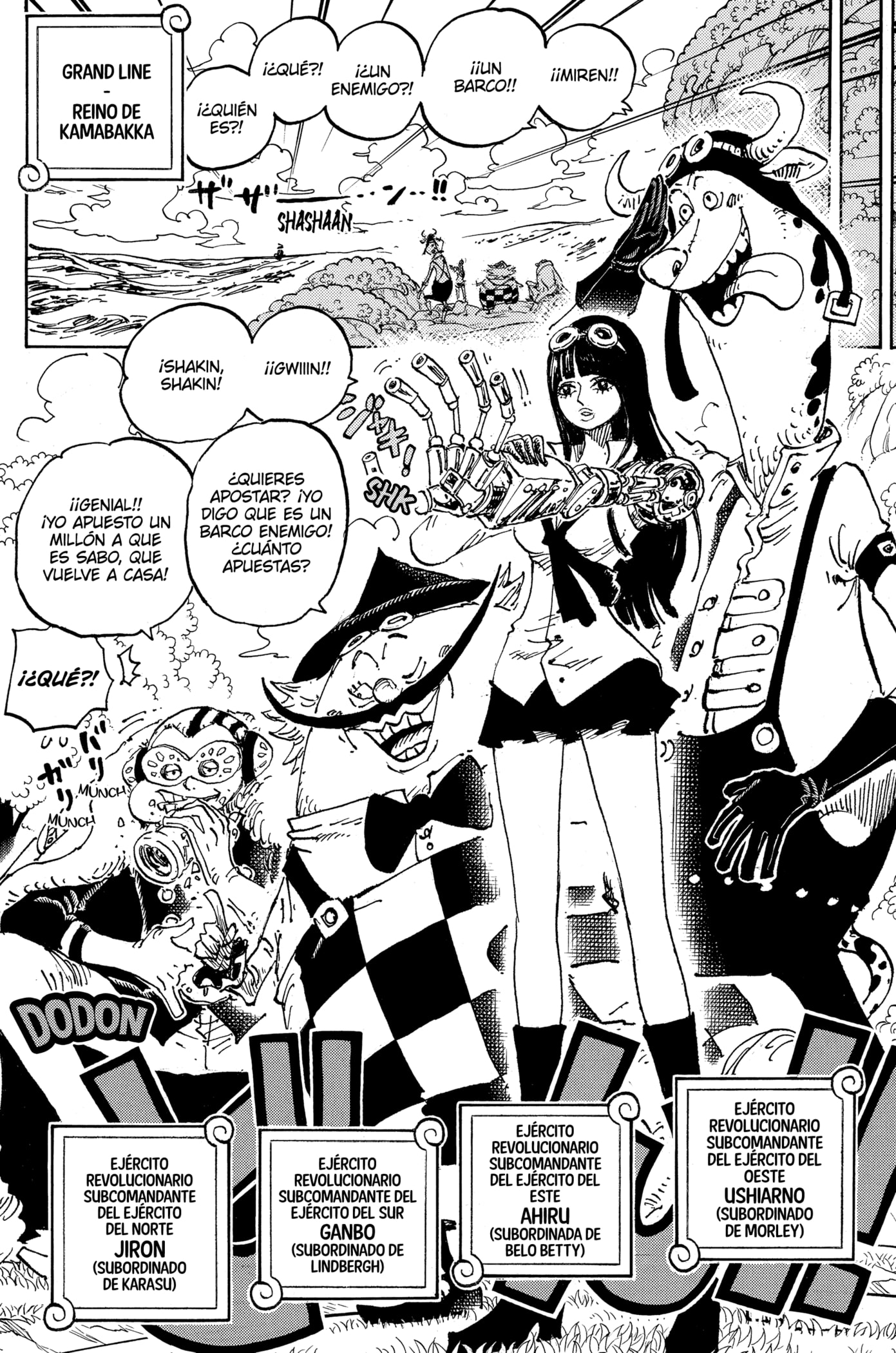 One Piece Capitulo 1082: "Vamos a por Él" página 12