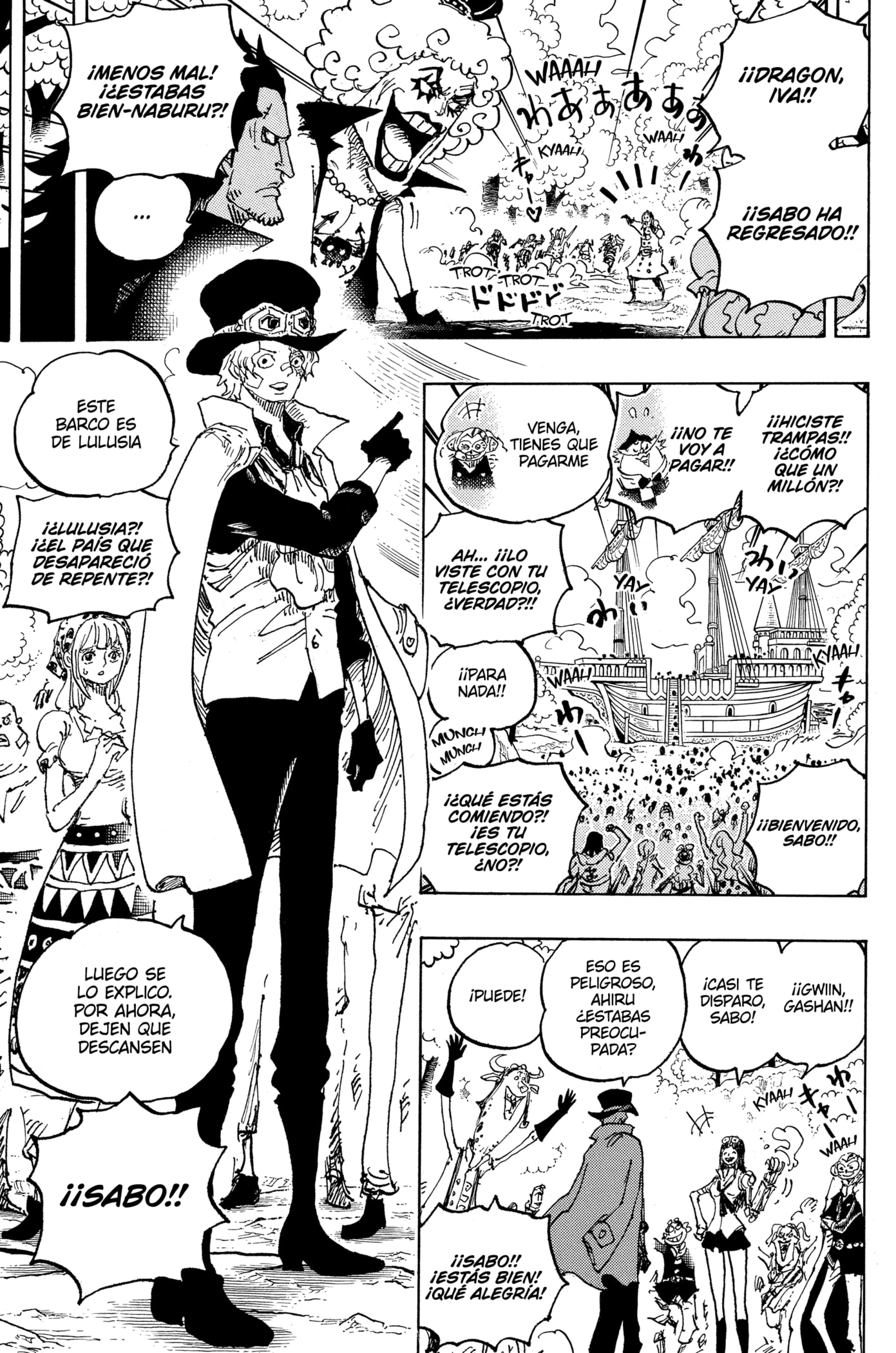 One Piece Capitulo 1082: "Vamos a por Él" página 13