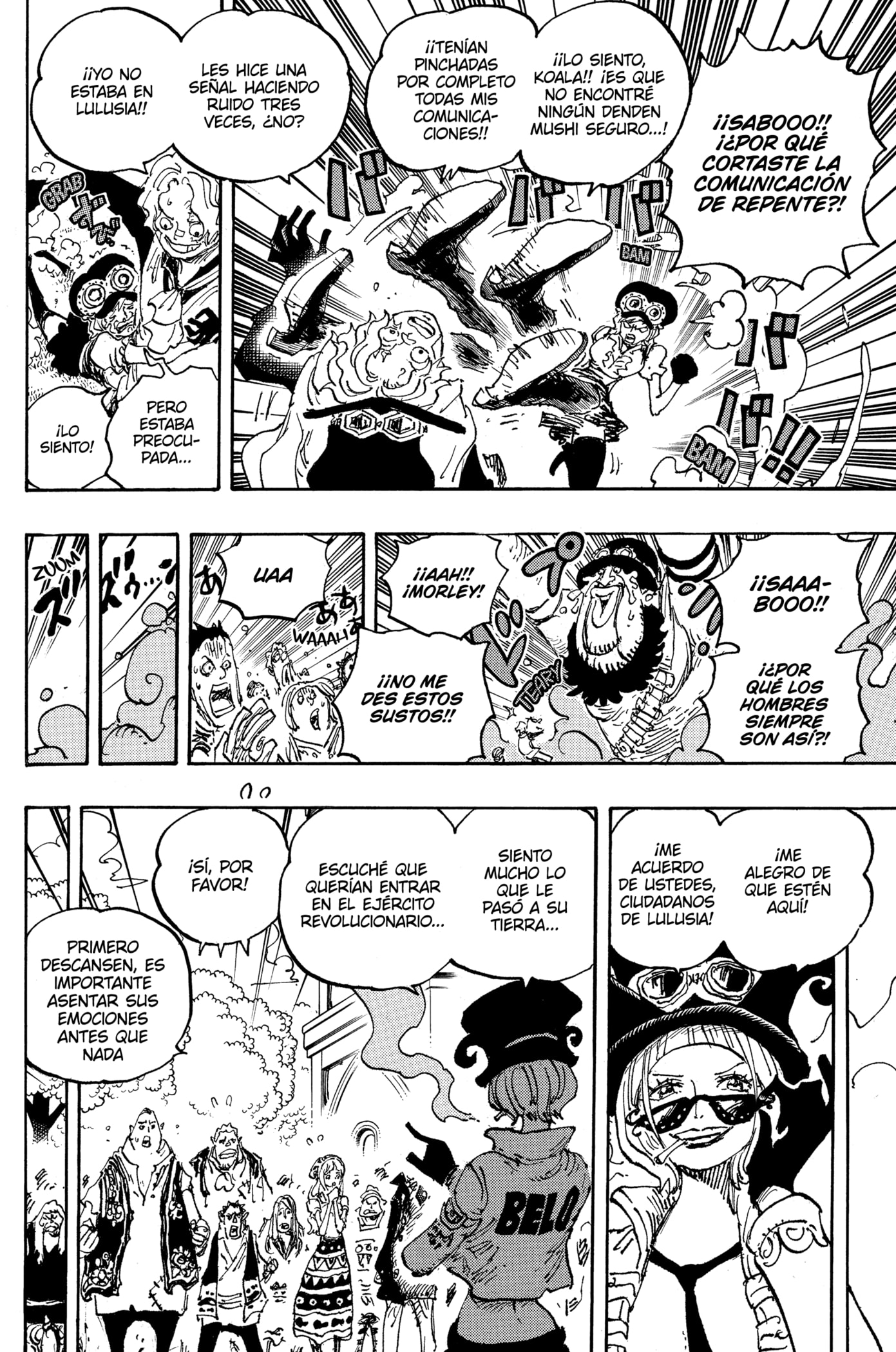 One Piece Capitulo 1082: "Vamos a por Él" página 14