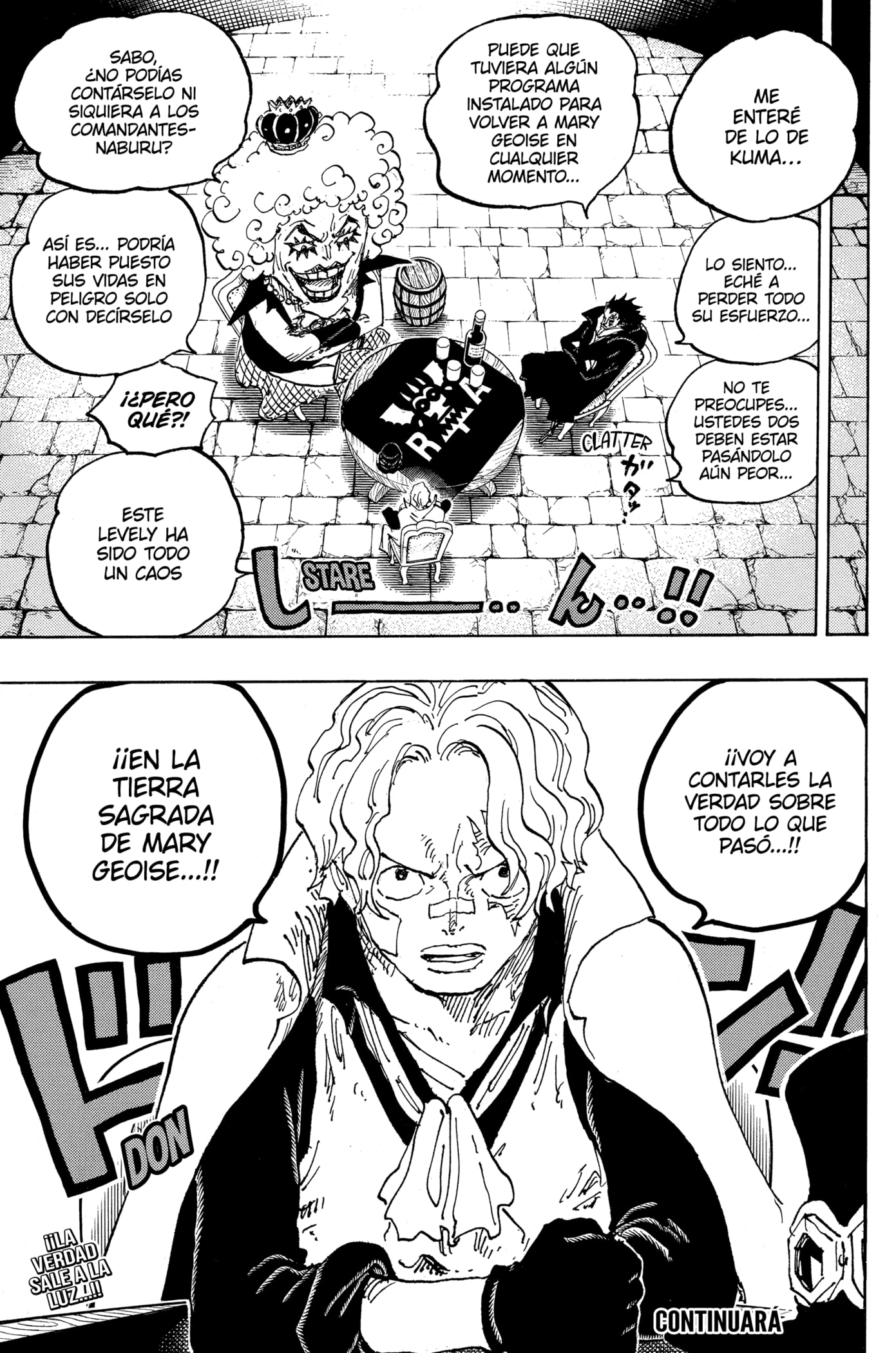 One Piece Capitulo 1082: "Vamos a por Él" página 15