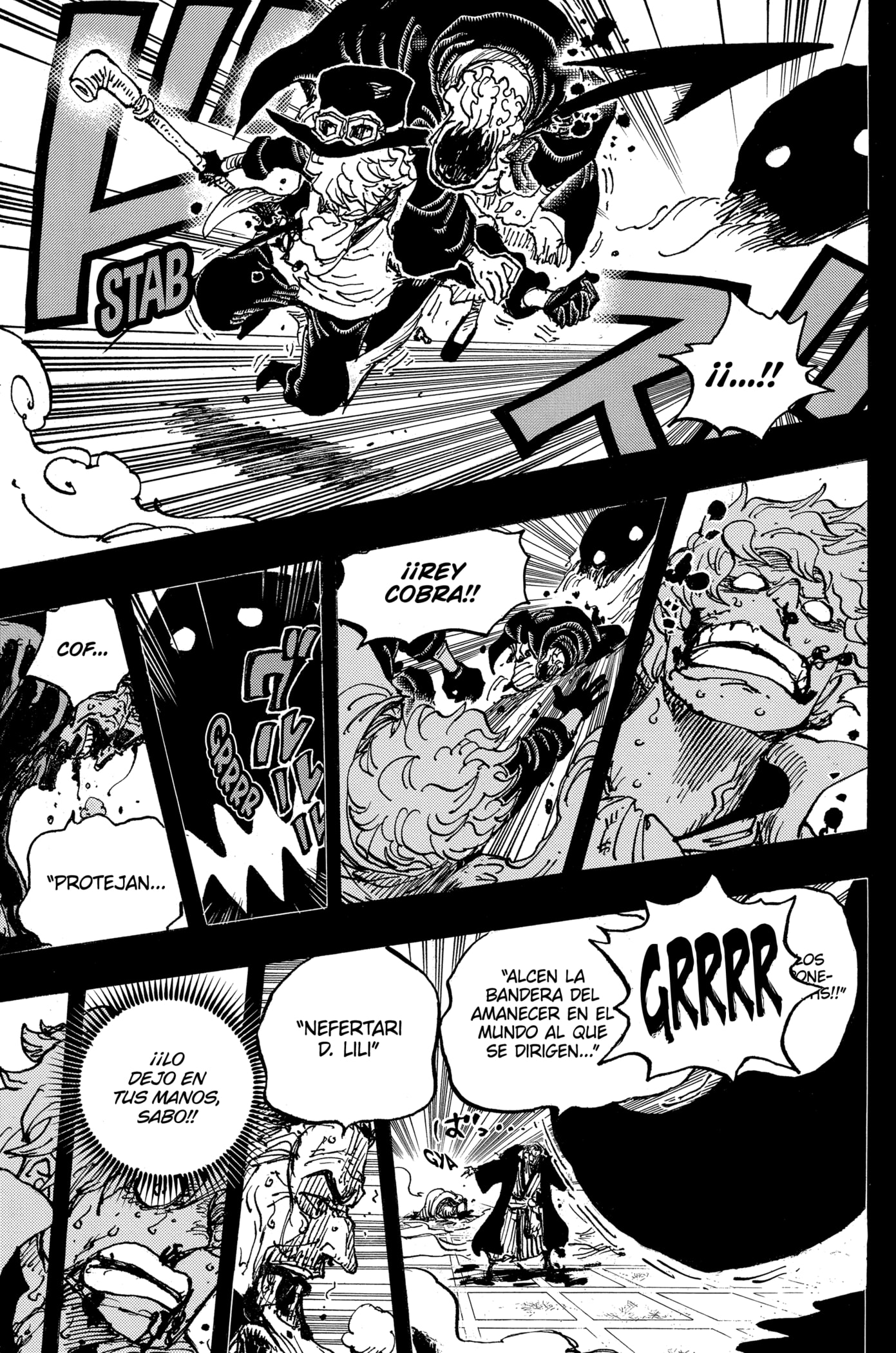 One Piece Capitulo 1085: "La Muerte del Rey Cobra" página 11