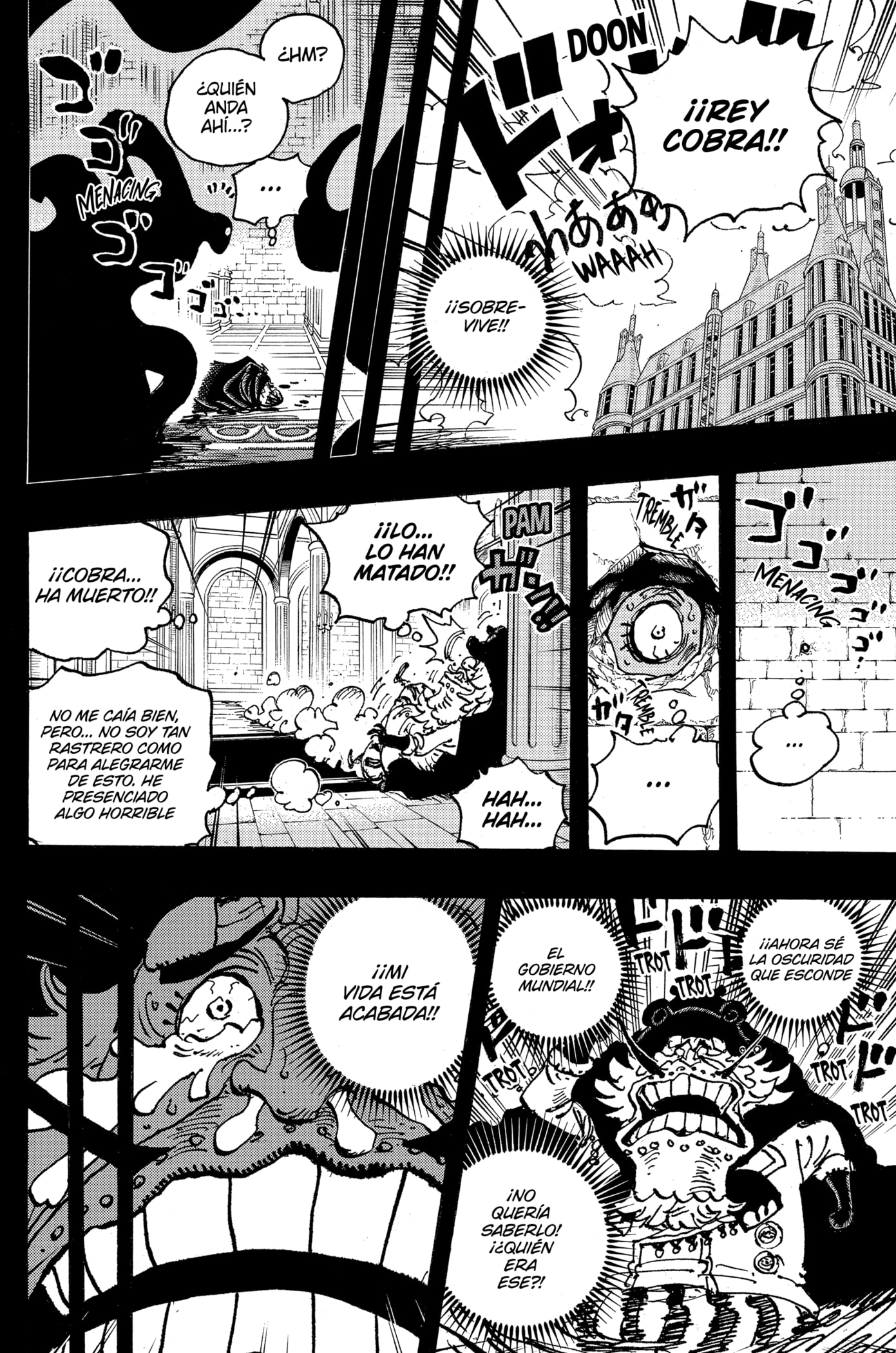 One Piece Capitulo 1085: "La Muerte del Rey Cobra" página 12