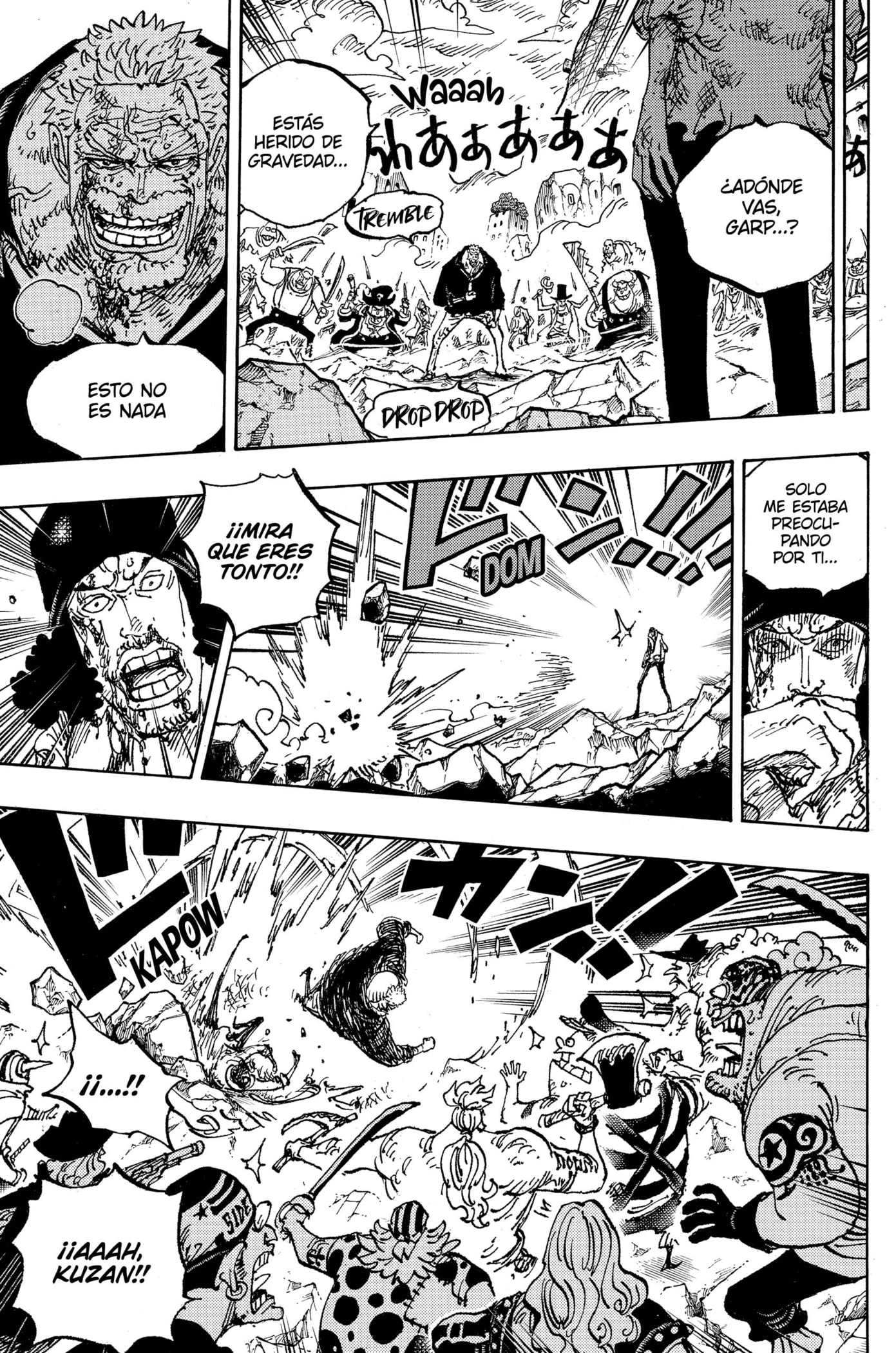 One Piece Capitulo 1088: "La Lección Final" página 10