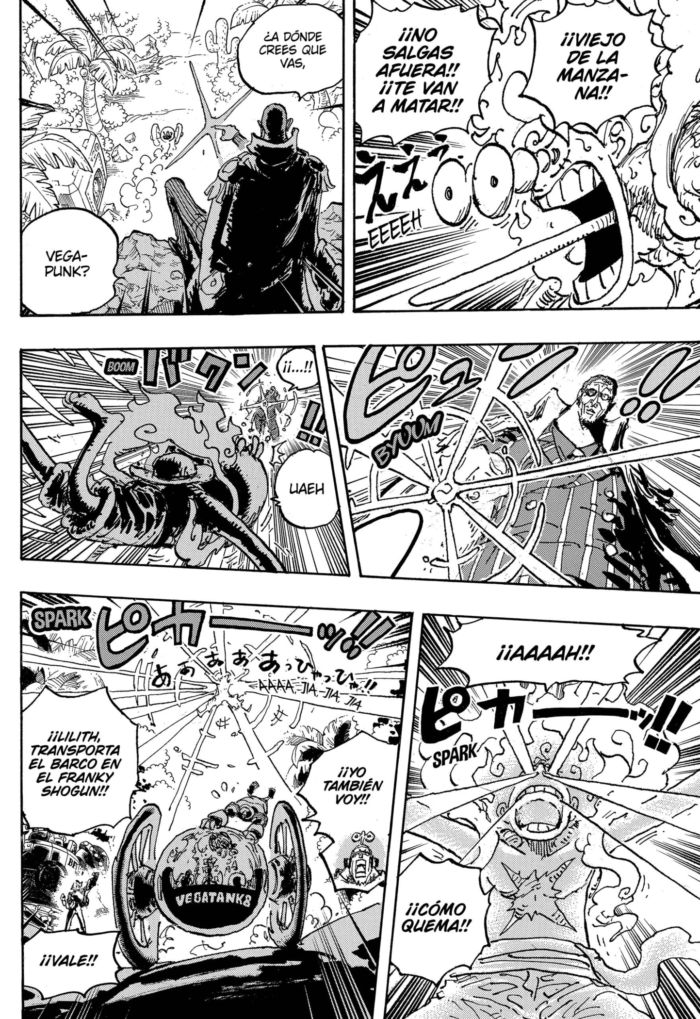 One Piece Capitulo 1093: Luffy Vs. Kizaru página 14