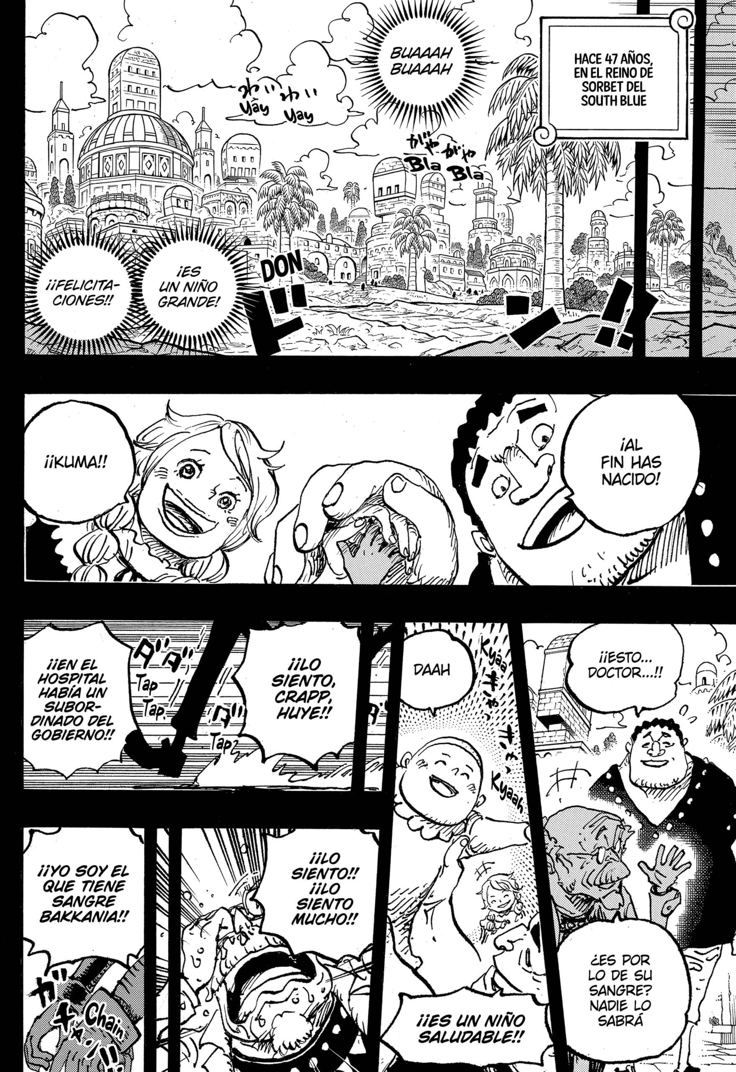 One Piece Capitulo 1095 página 10
