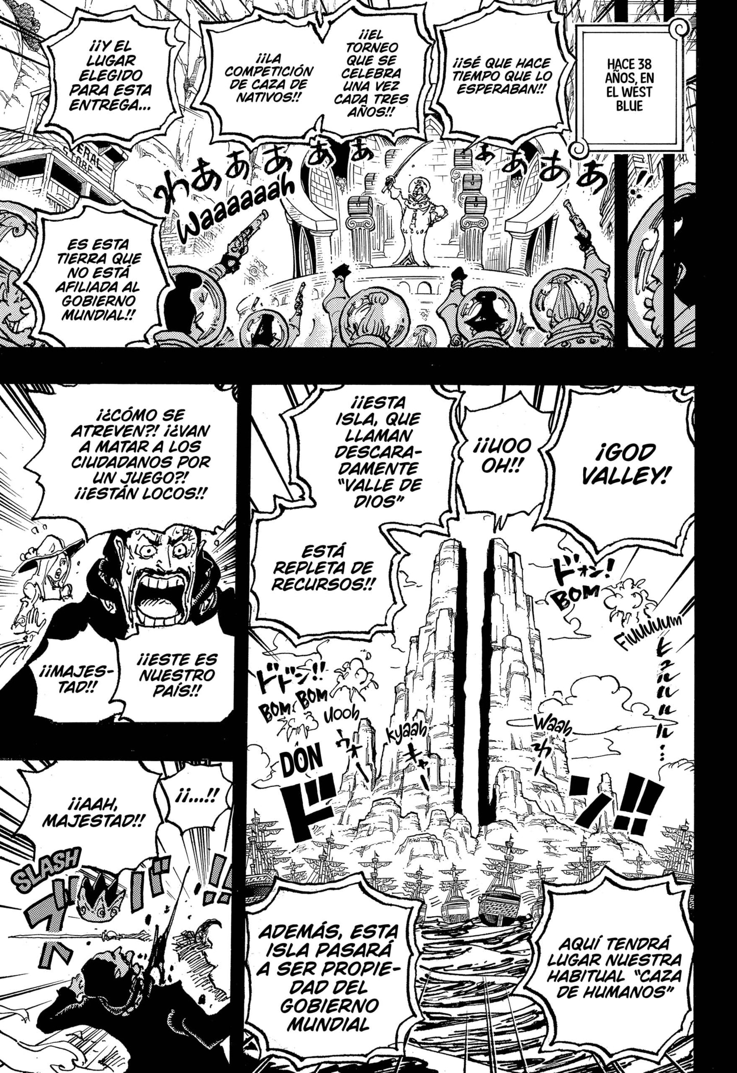 One Piece Capitulo 1095 página 13