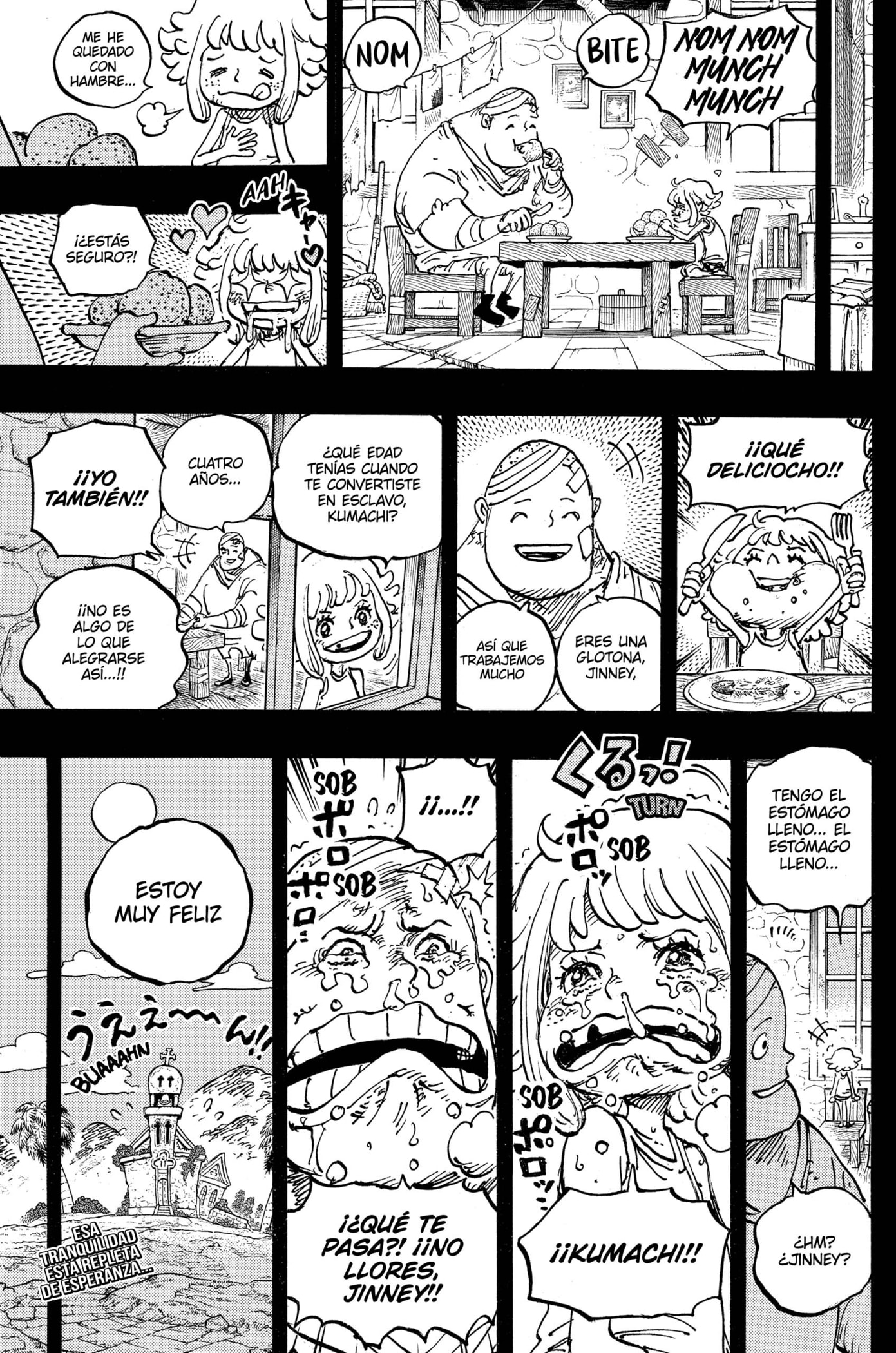 One Piece Capitulo 1096: Kumachi página 17