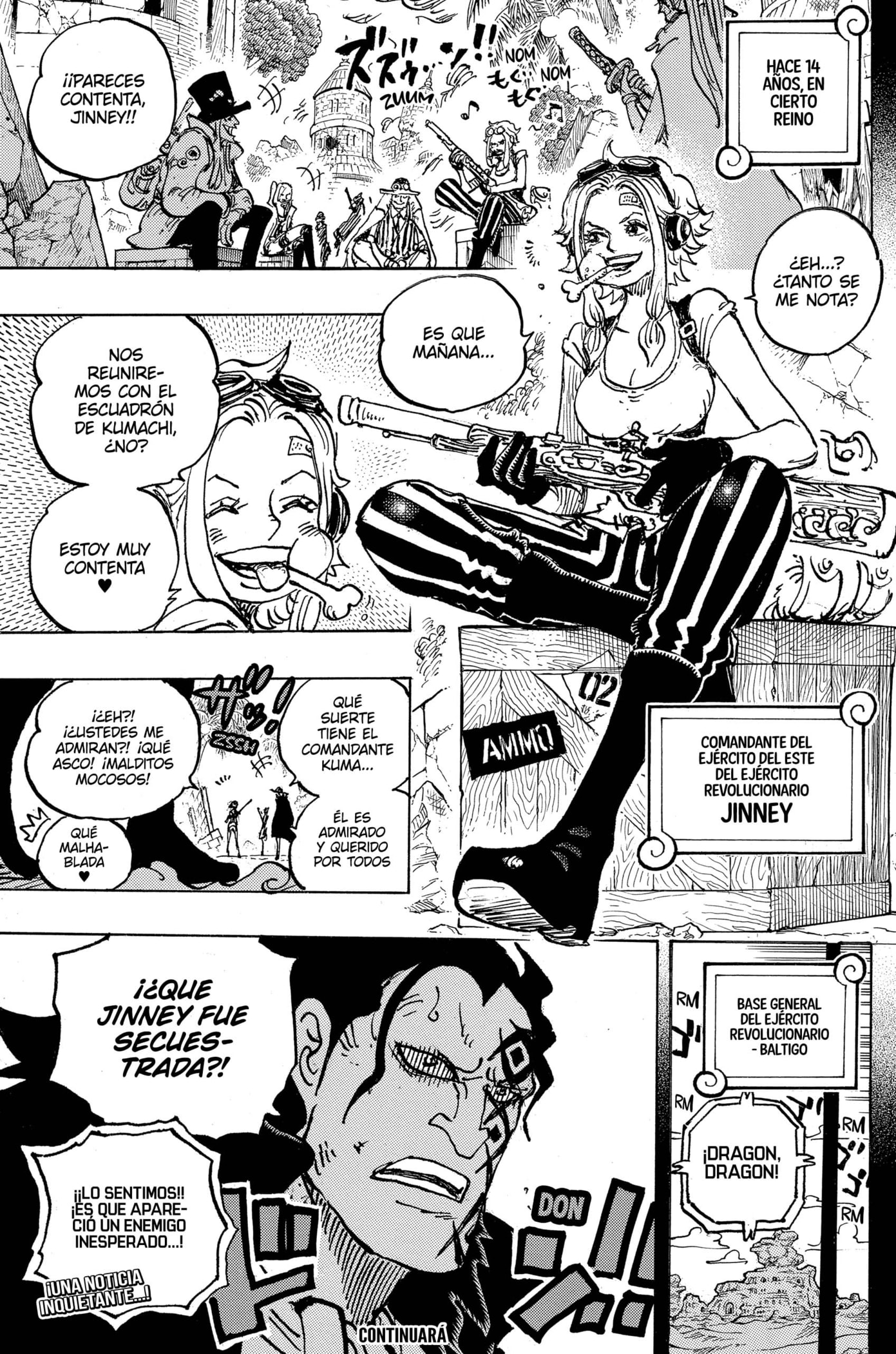 One Piece Capitulo 1097 página 13