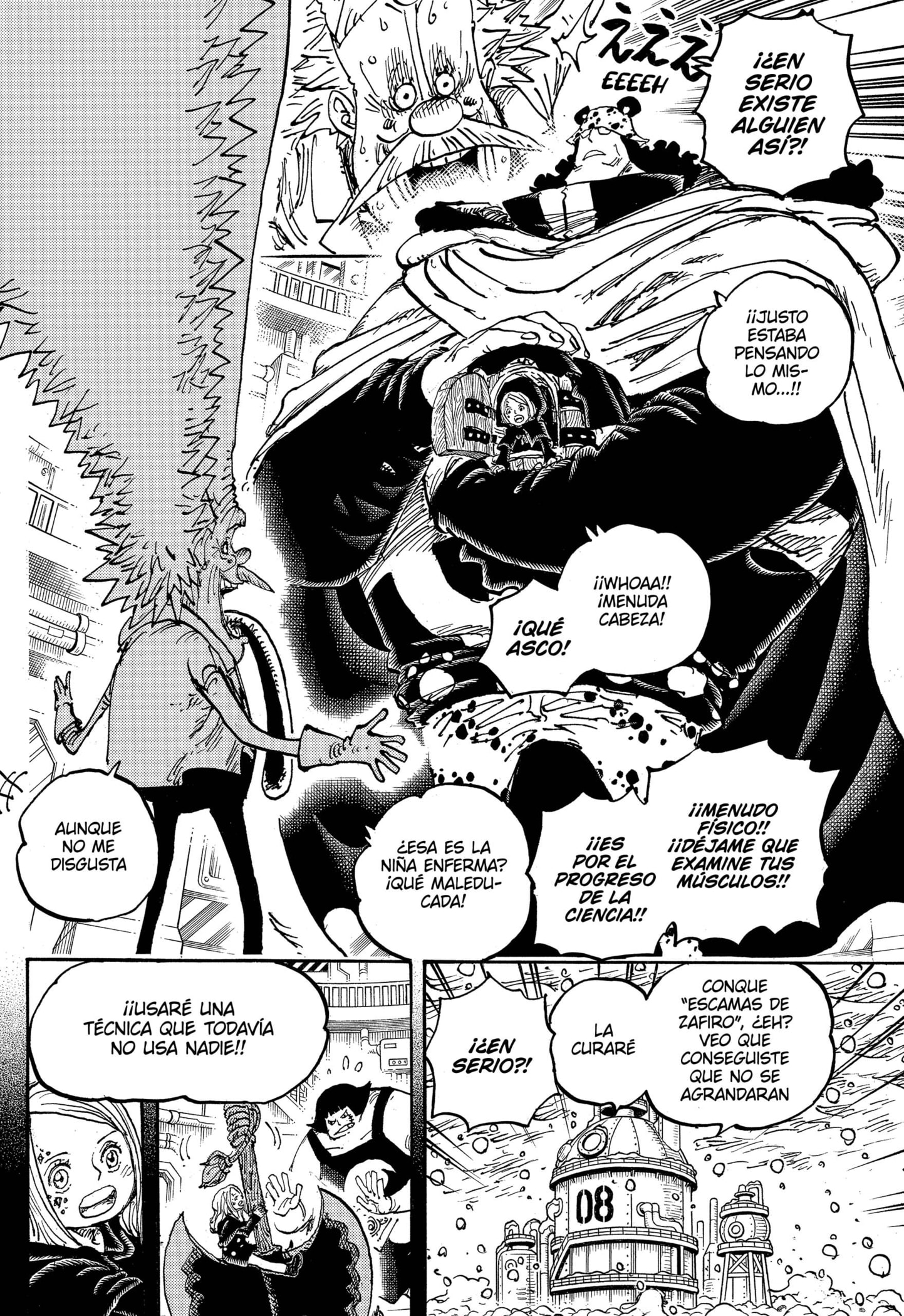 One Piece Capitulo 1099 página 14