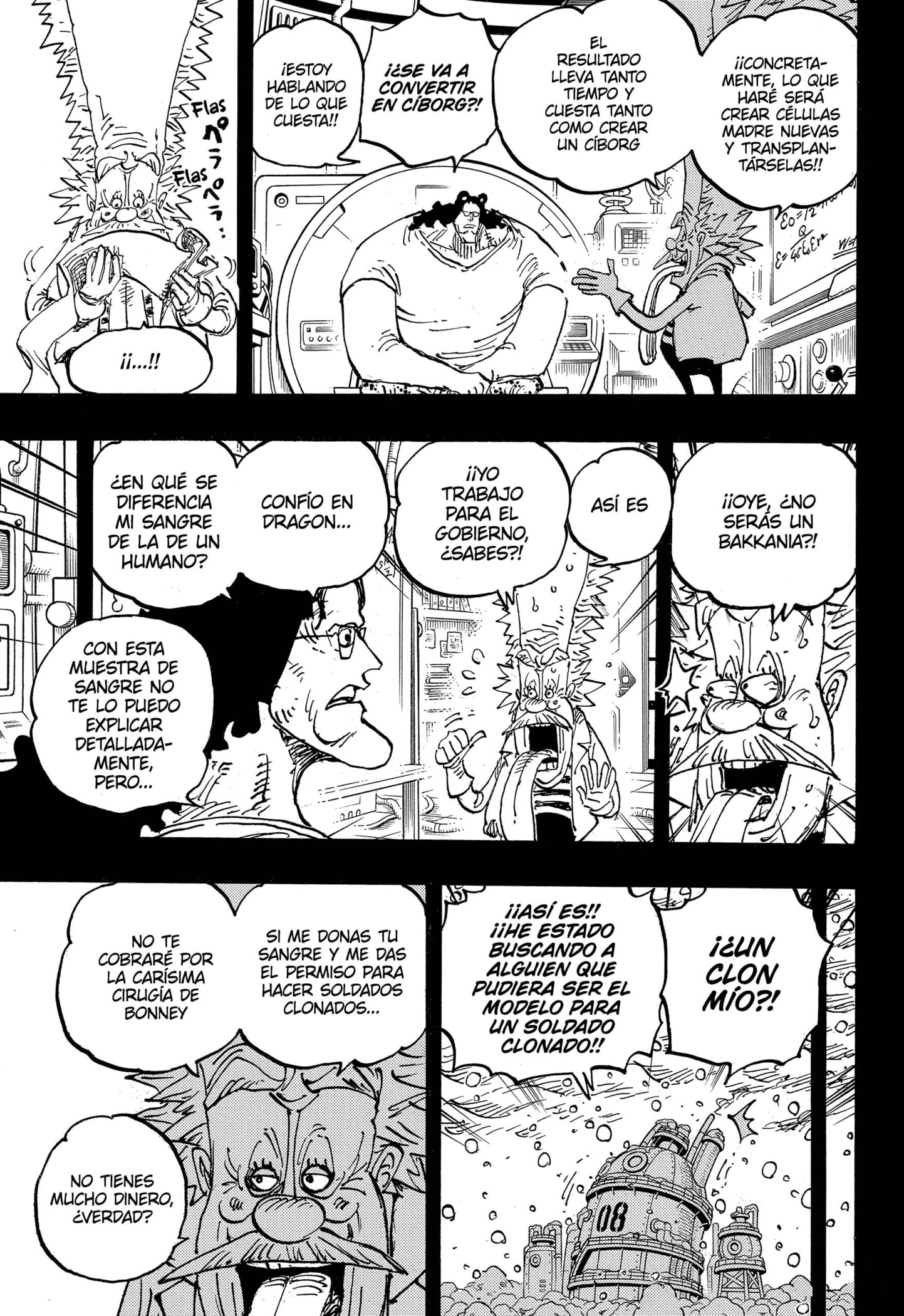 One Piece Capitulo 1099 página 15