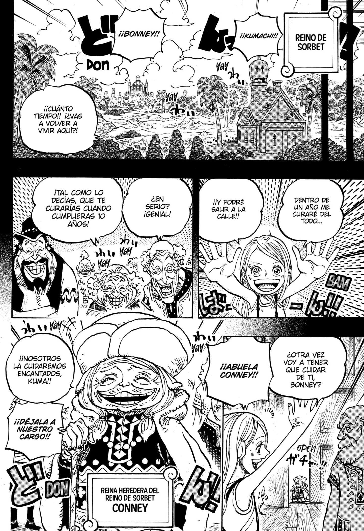 One Piece Capitulo 1100 página 12