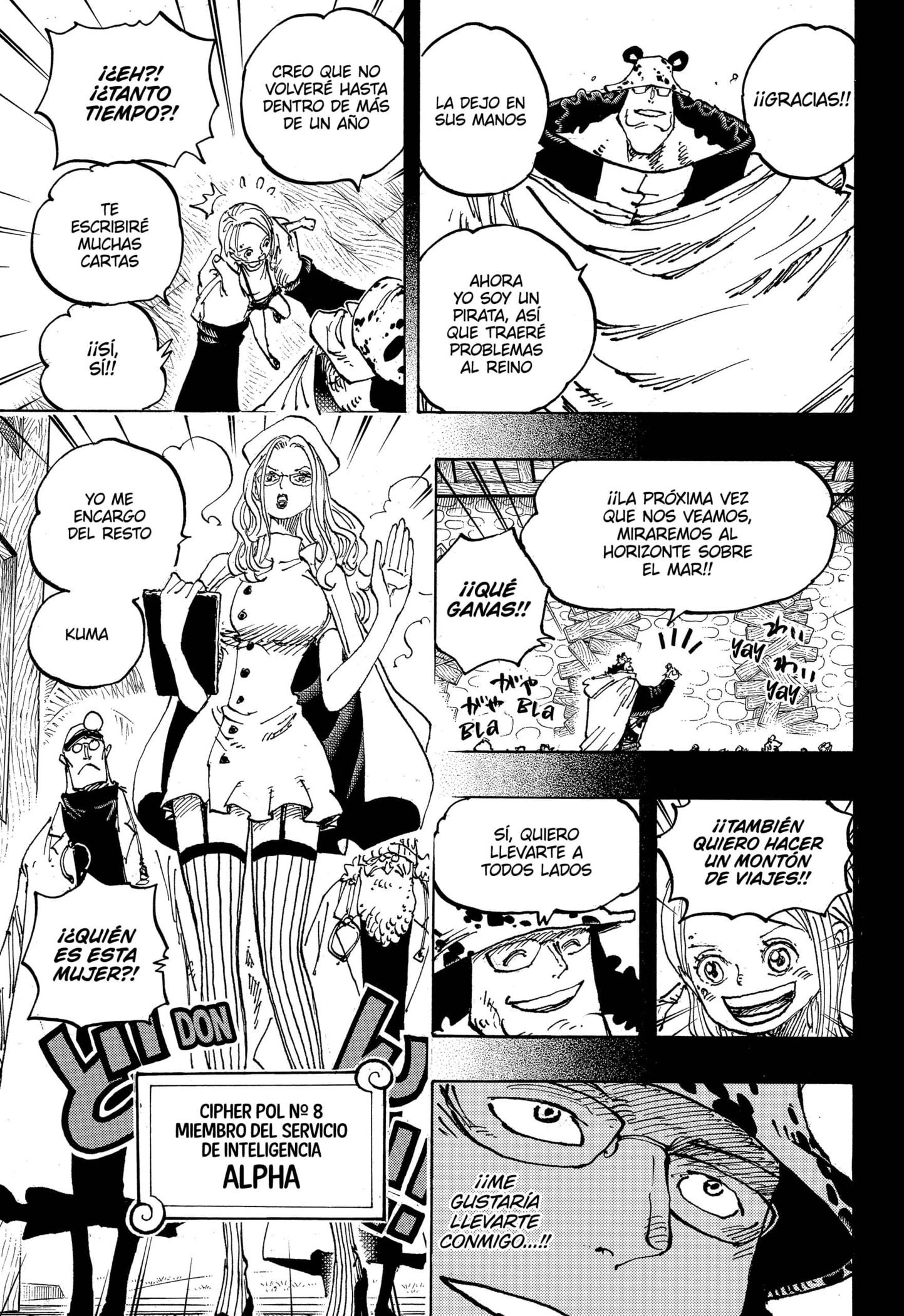 One Piece Capitulo 1100 página 13