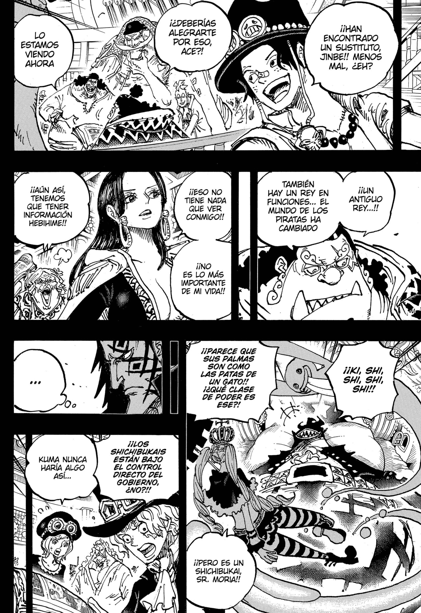 One Piece Capitulo 1100 página 16