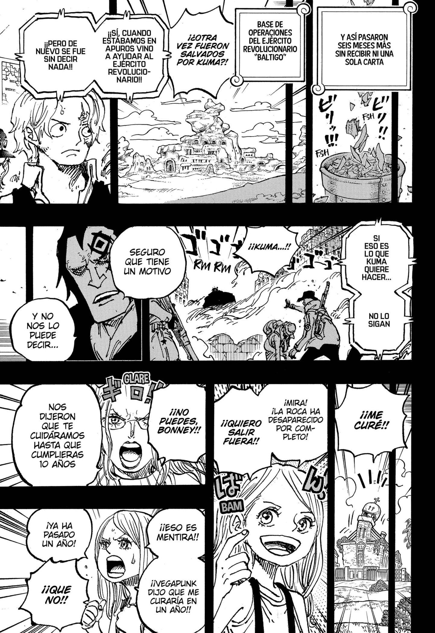 One Piece Capitulo 1101 página 14