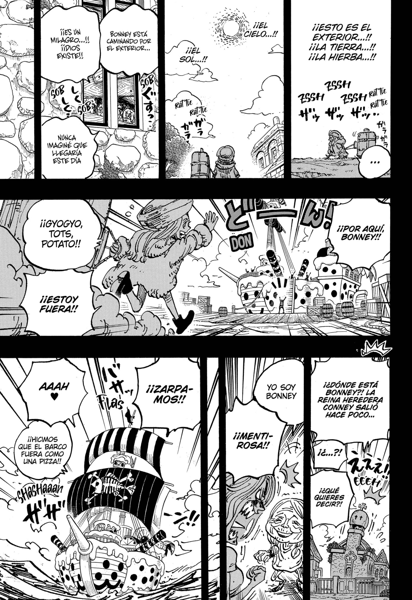 One Piece Capitulo 1101 página 16