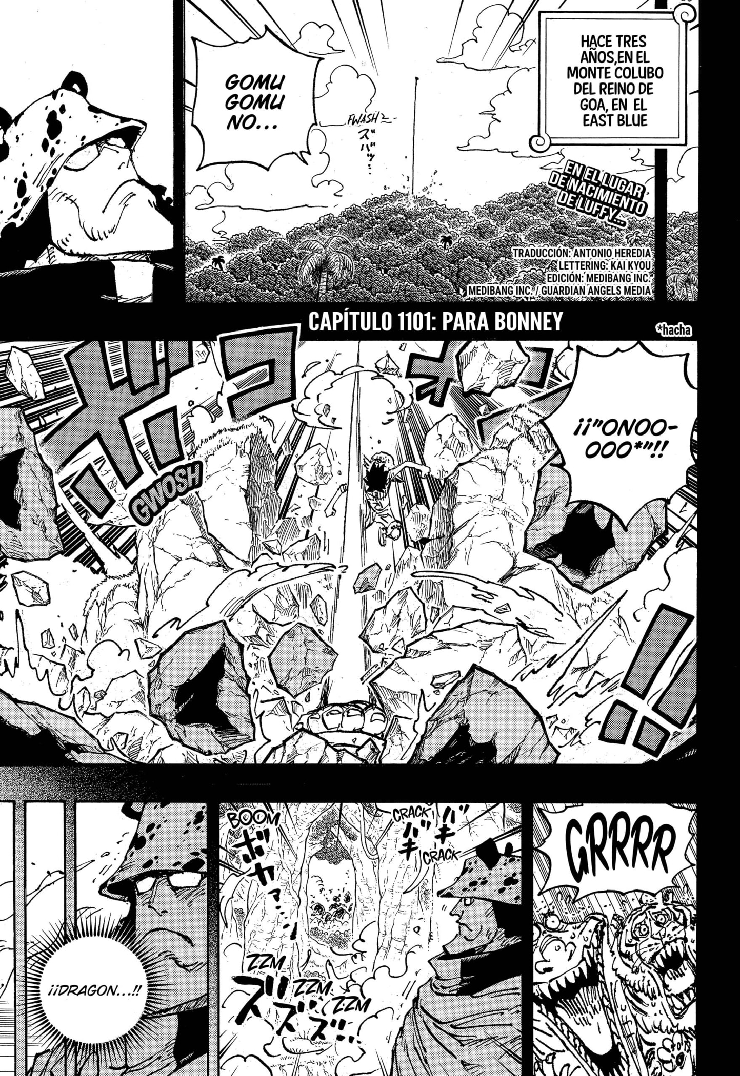 One Piece Capitulo 1101 página 4