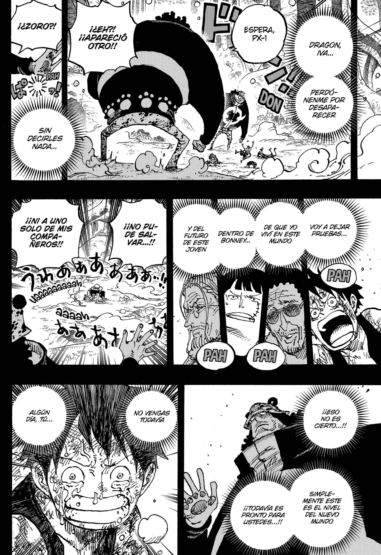 One Piece Capitulo 1102 página 10