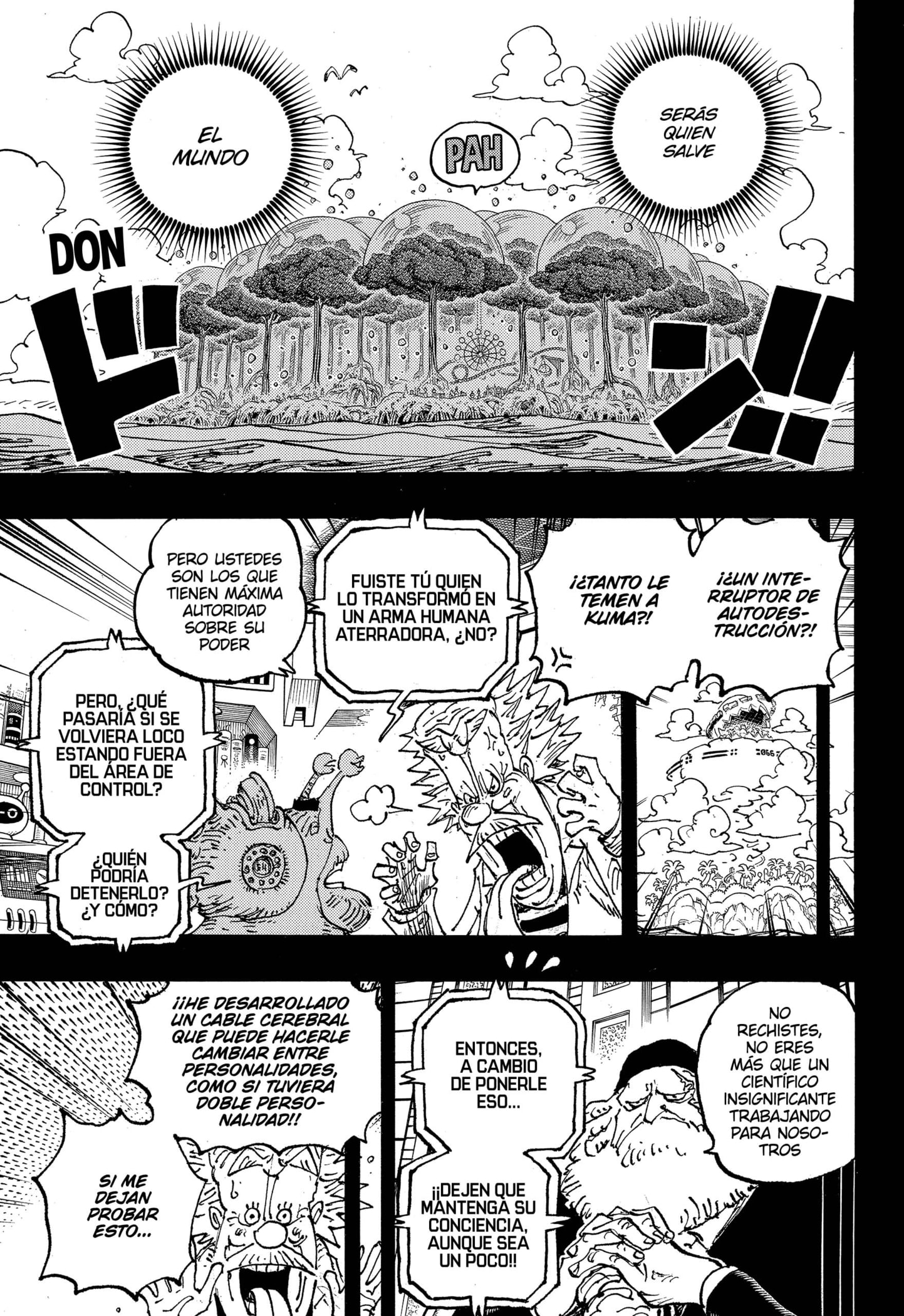 One Piece Capitulo 1102 página 11