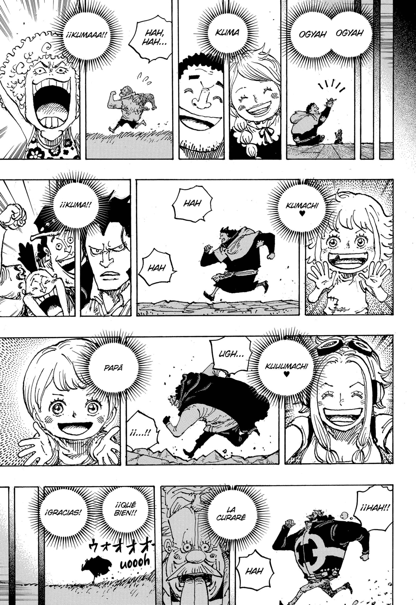 One Piece Capitulo 1102 página 15