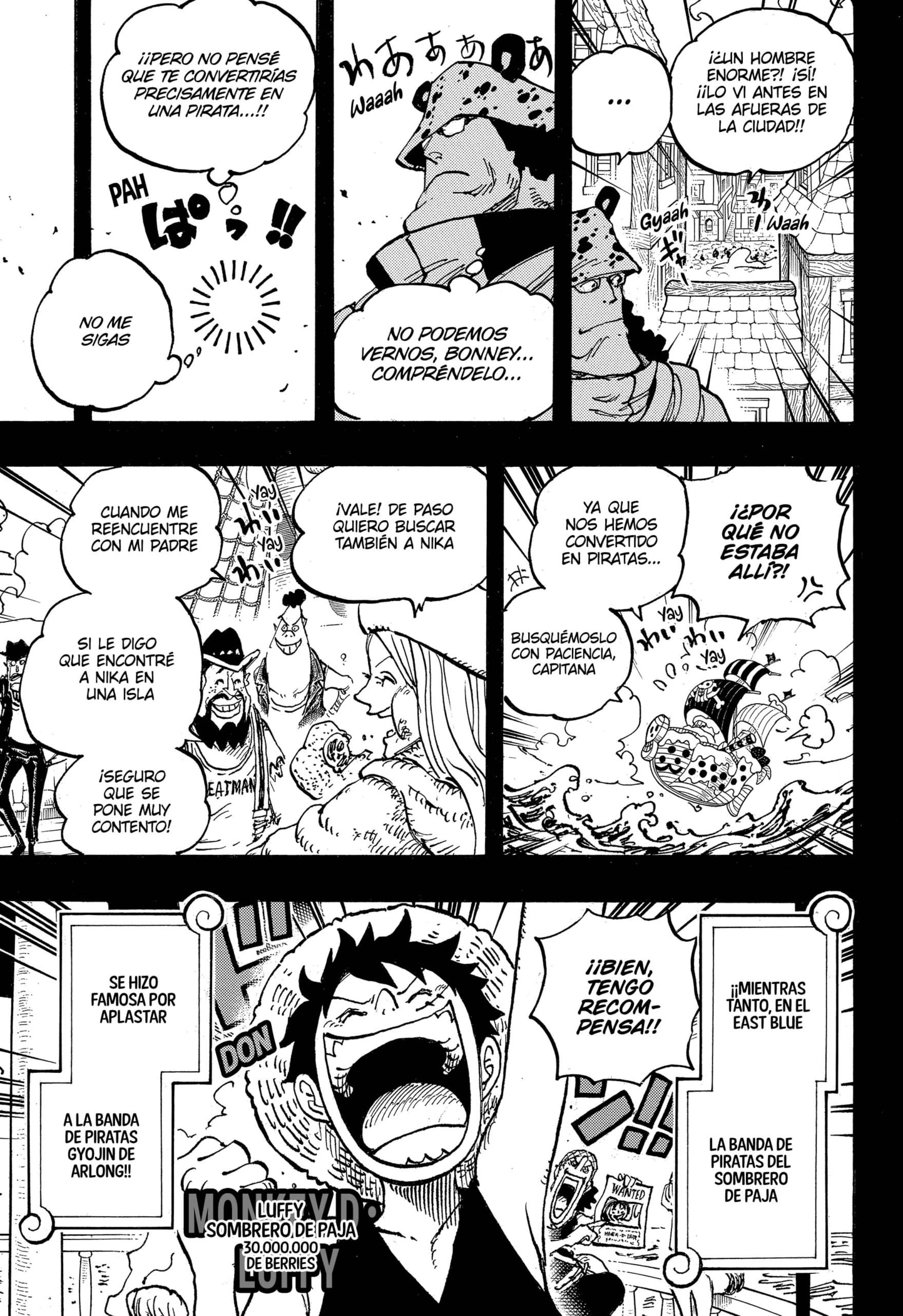 One Piece Capitulo 1102 página 3