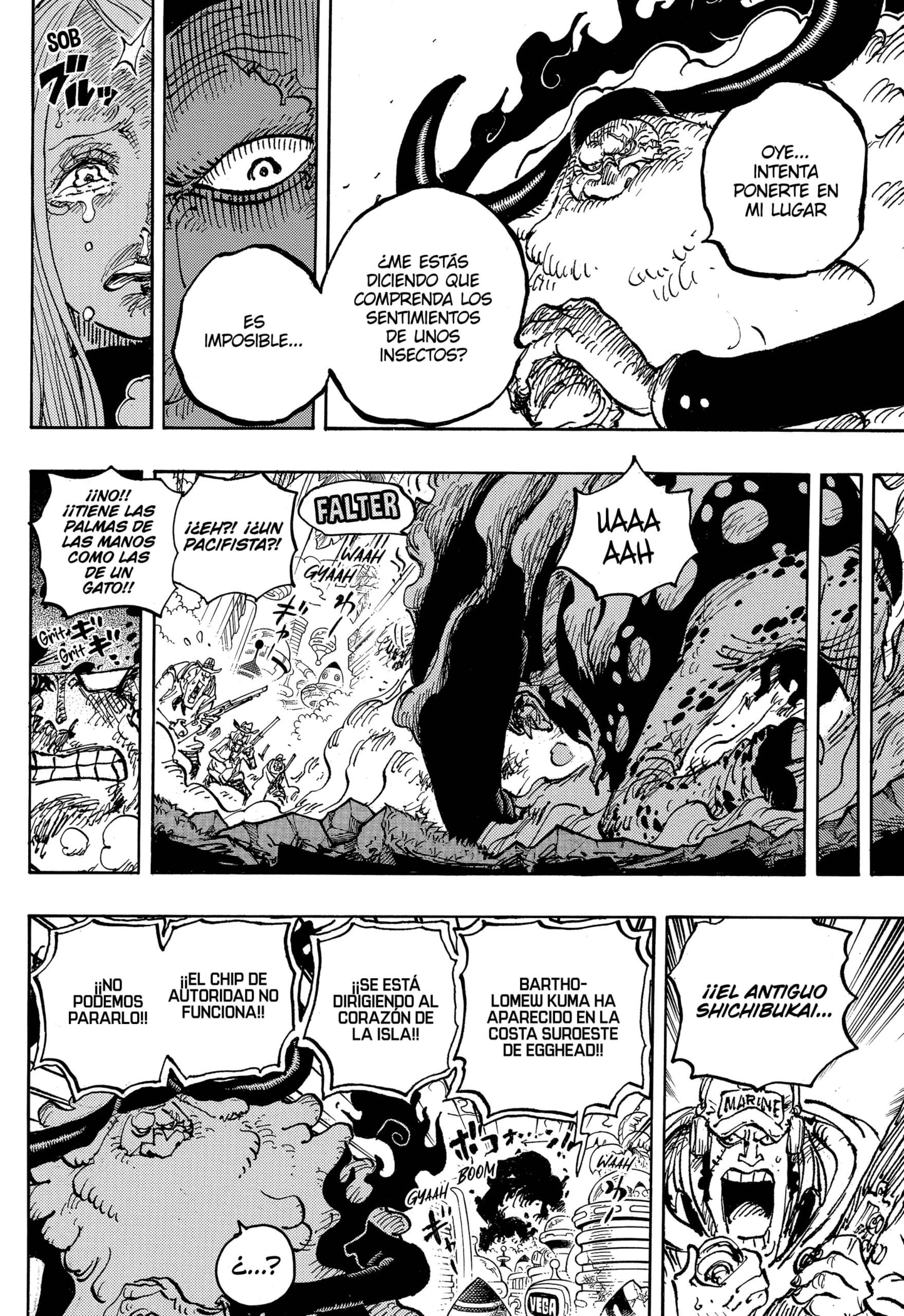 One Piece Capitulo 1103 página 13