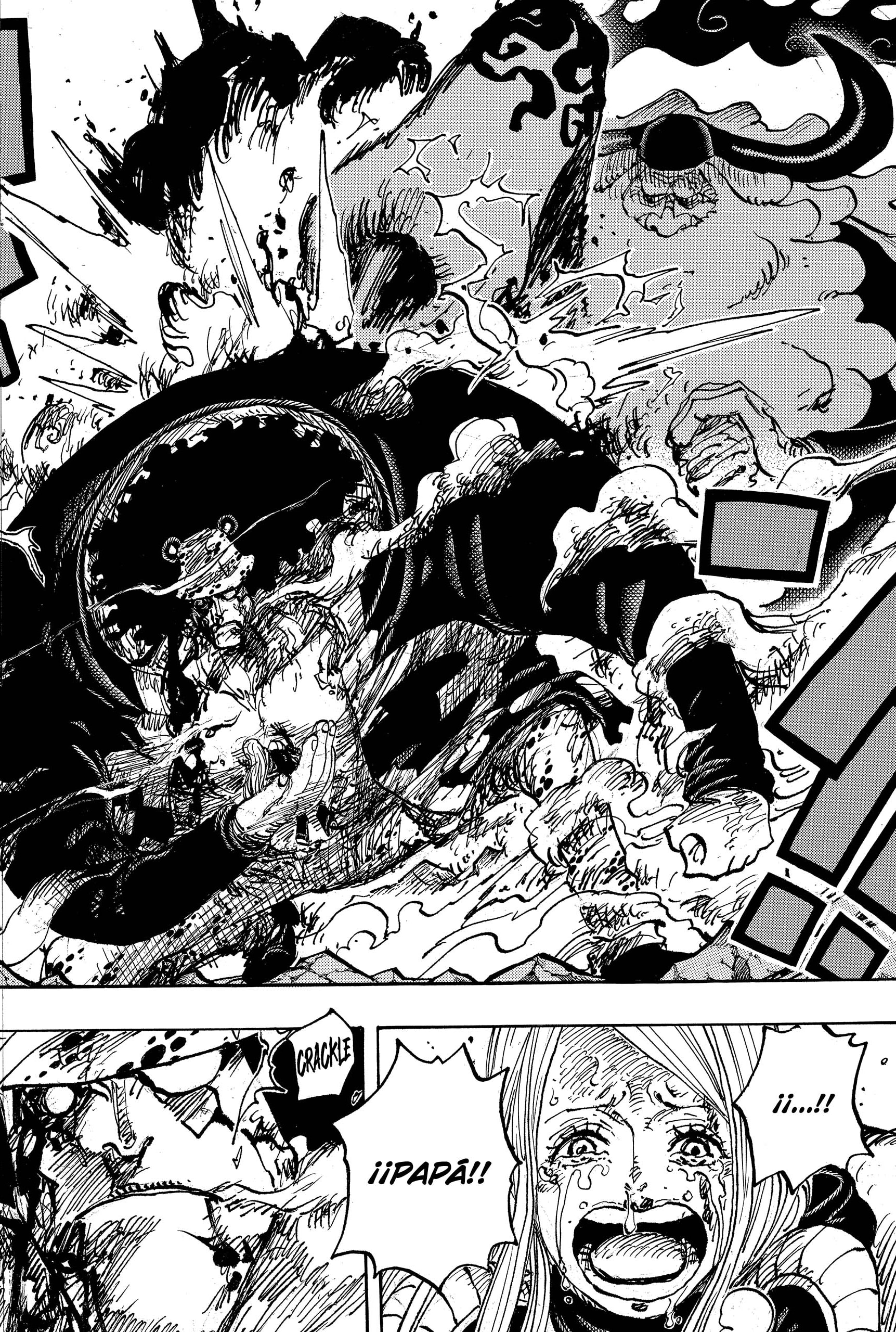 One Piece Capitulo 1103 página 17