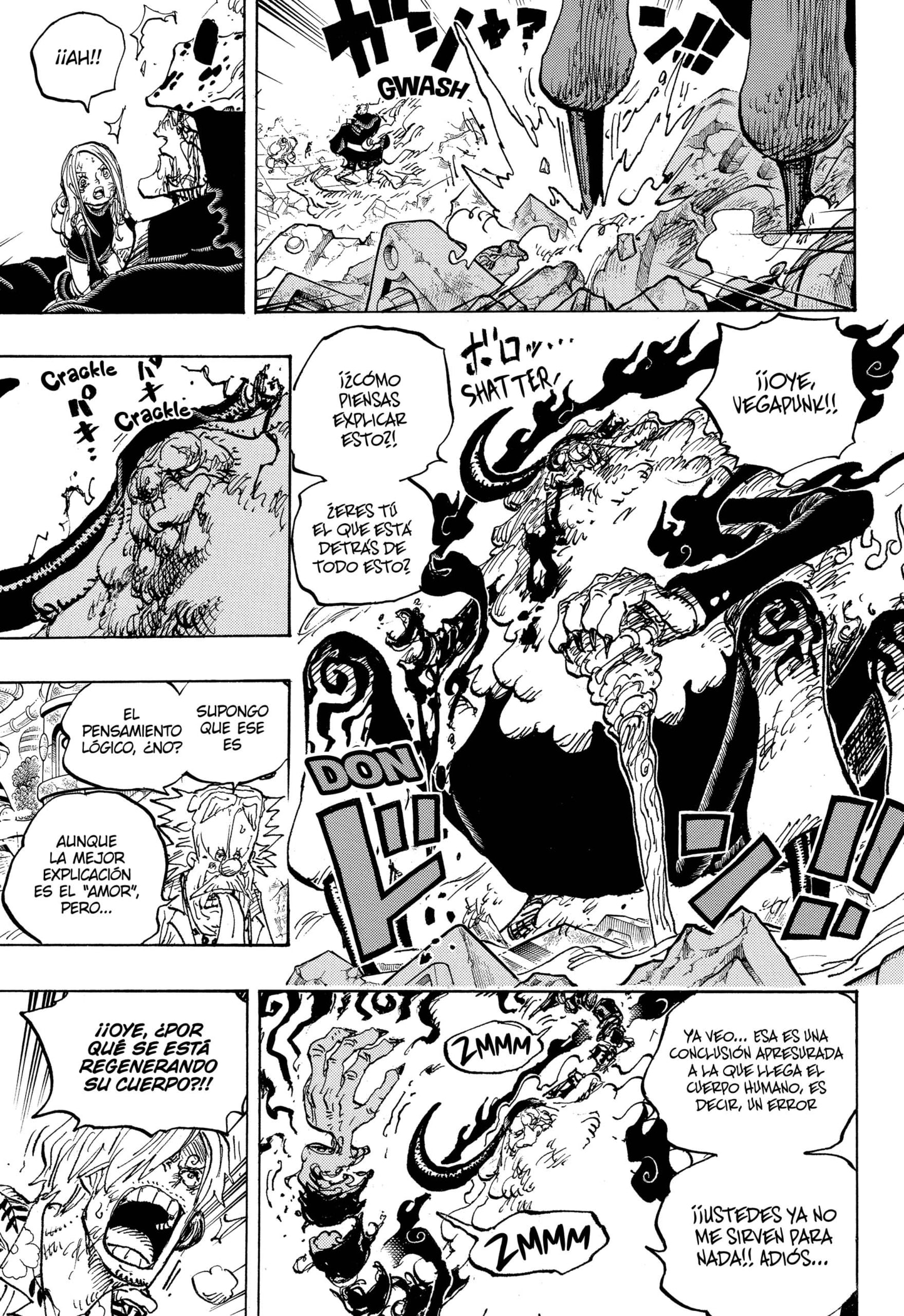 One Piece Capitulo 1104 página 11