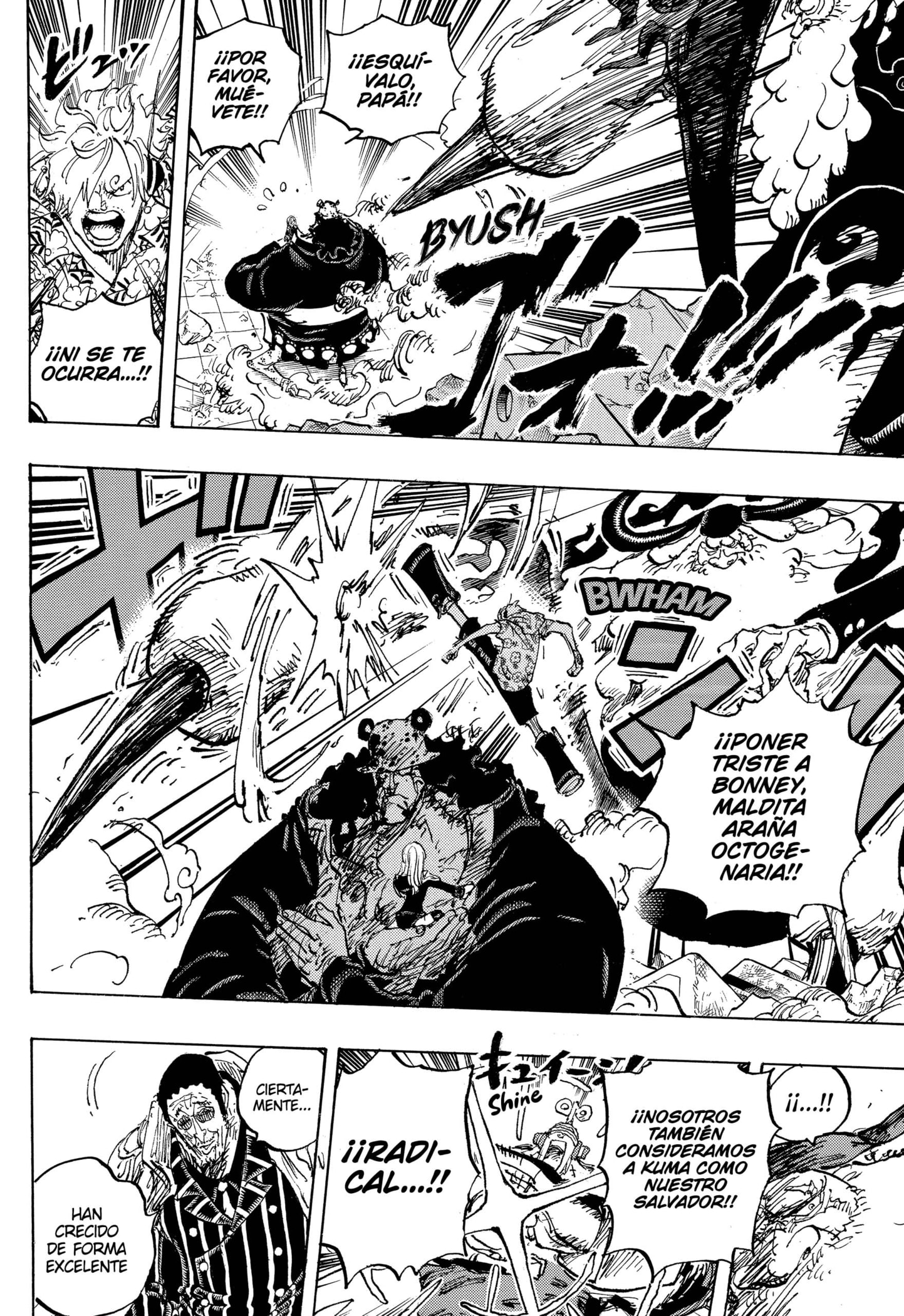 One Piece Capitulo 1104 página 12