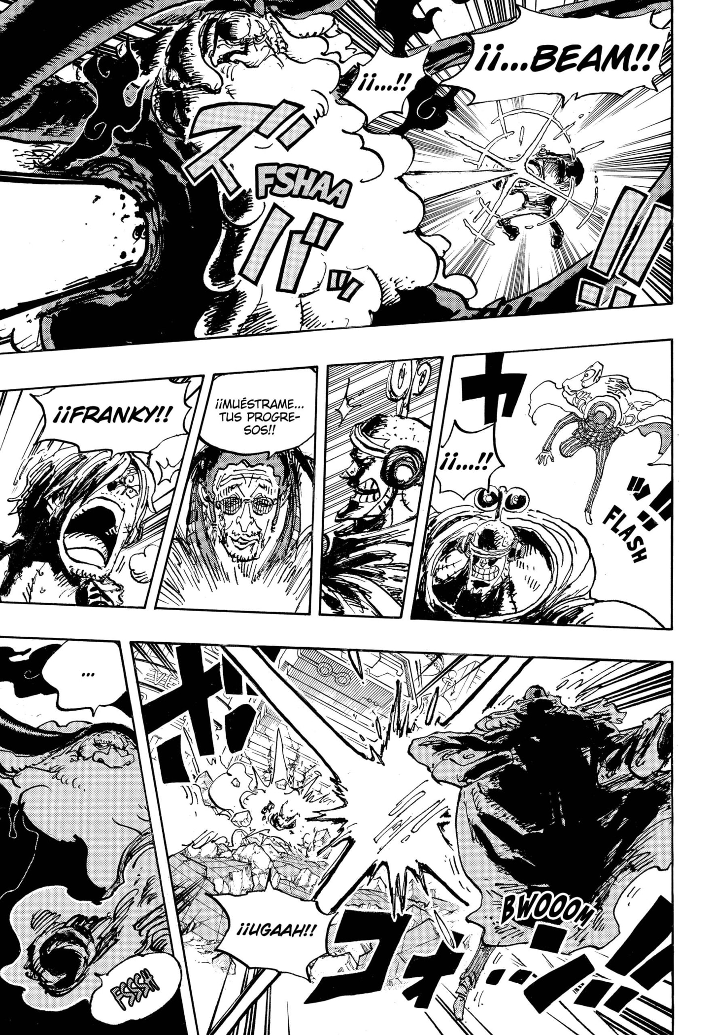 One Piece Capitulo 1104 página 13