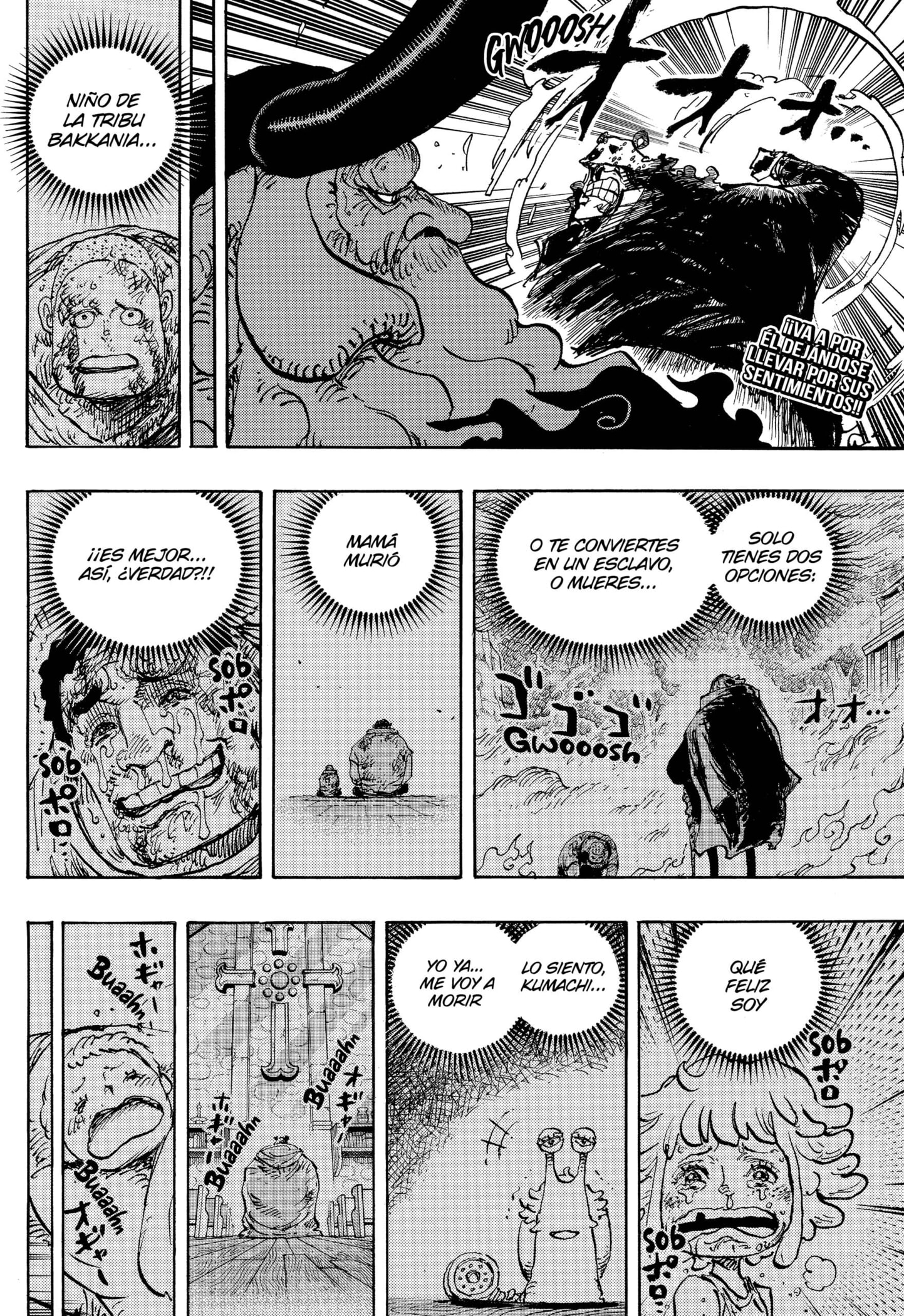 One Piece Capitulo 1104 página 2