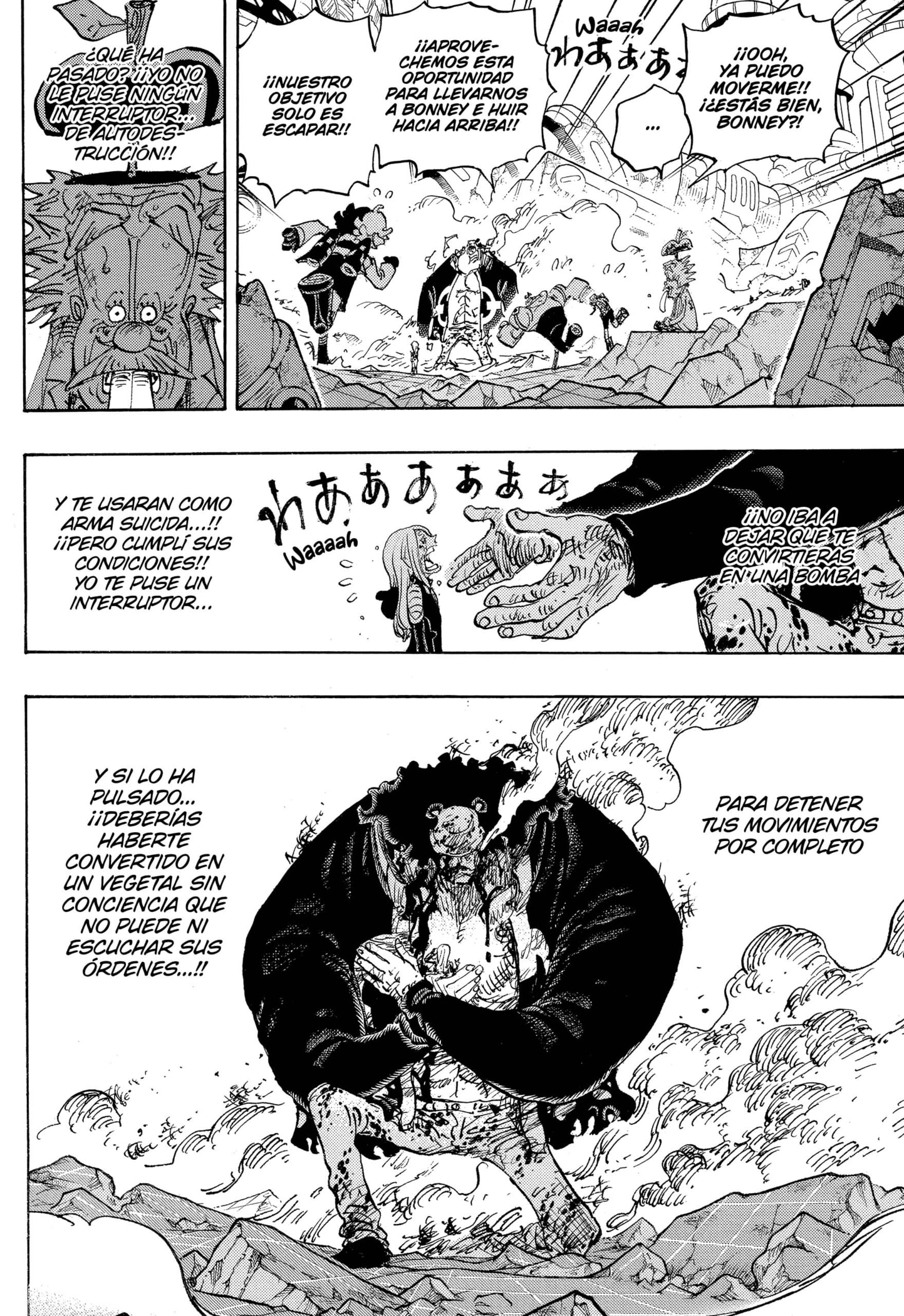 One Piece Capitulo 1104 página 8