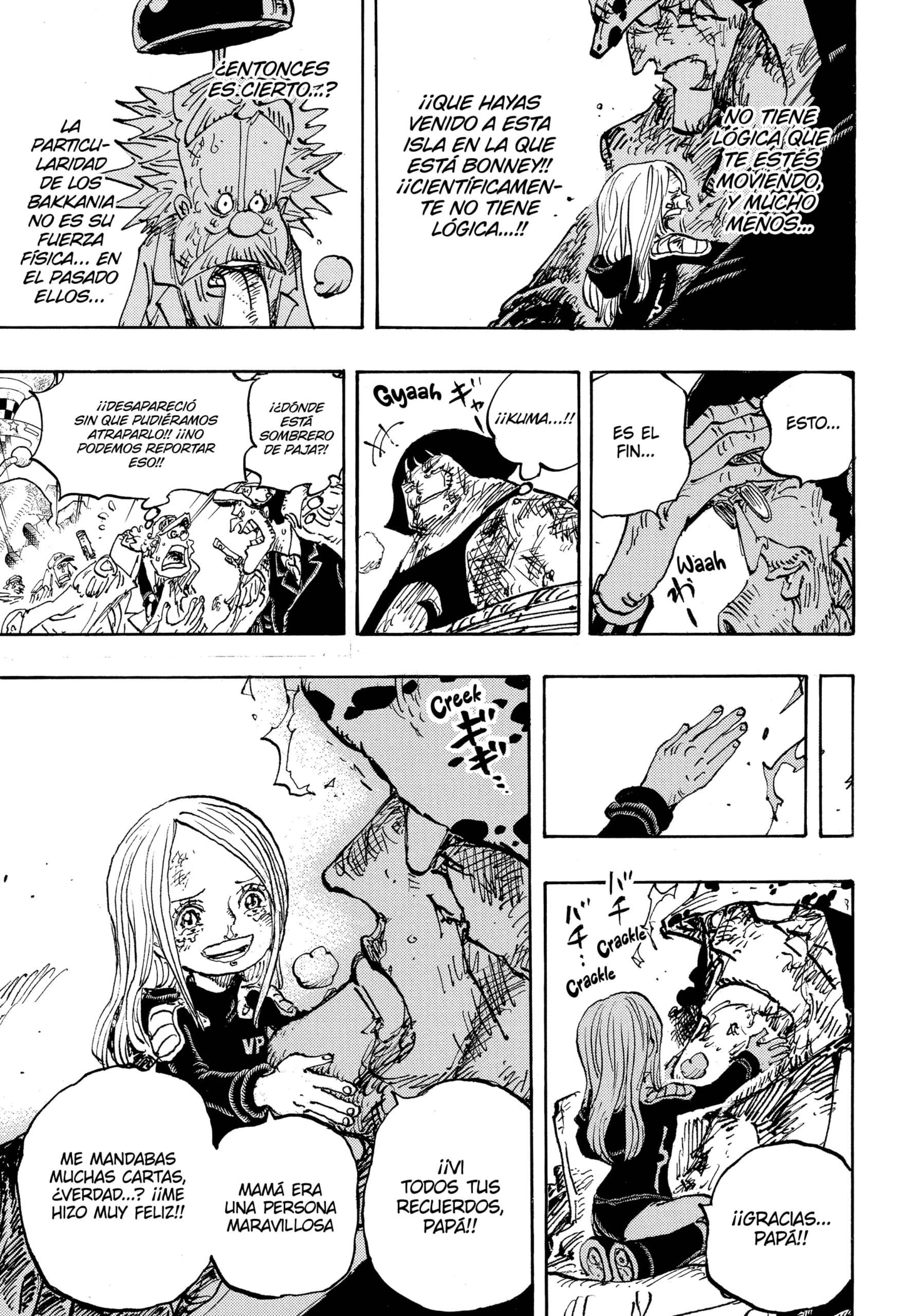 One Piece Capitulo 1104 página 9
