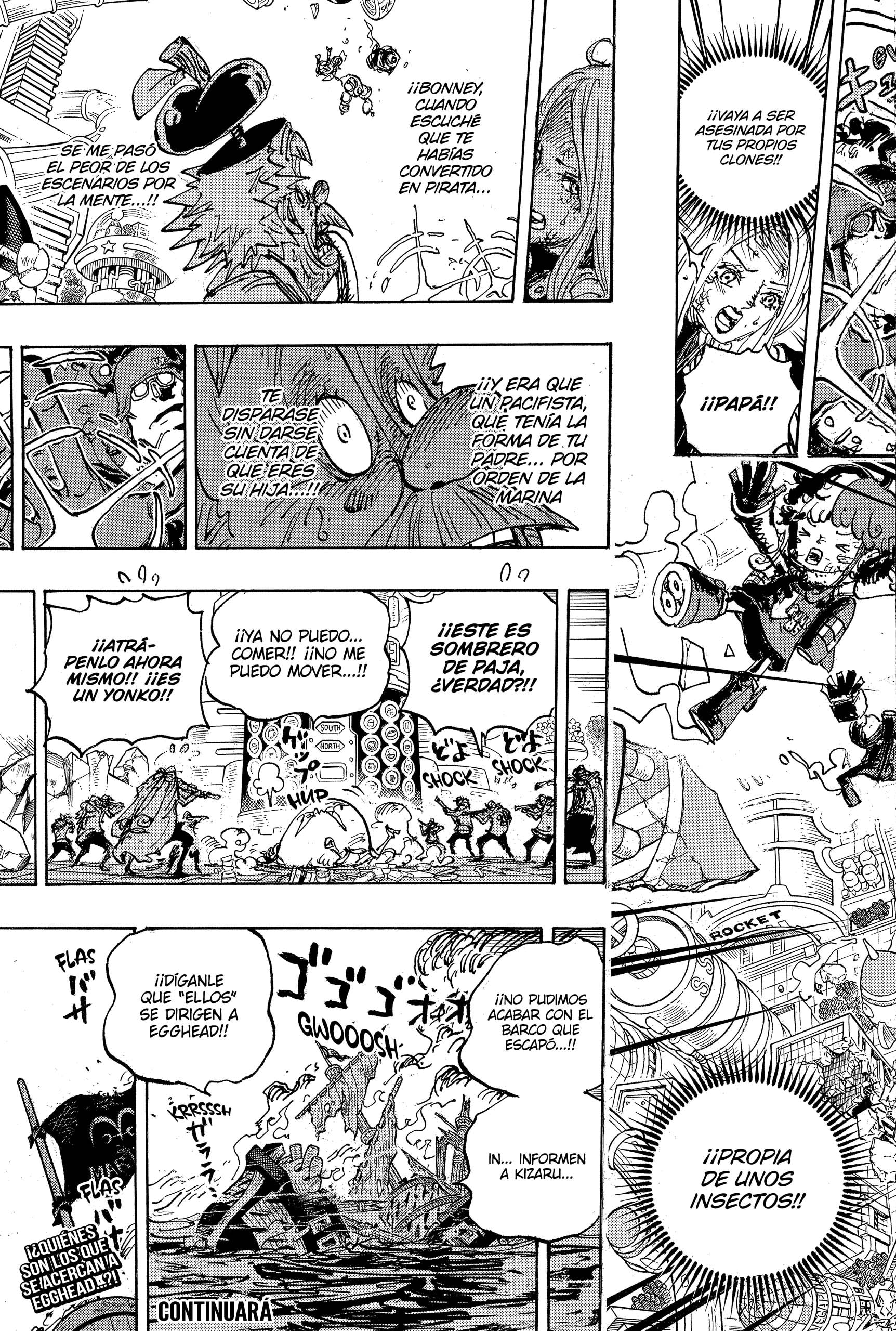 One Piece Capitulo 1105 página 13
