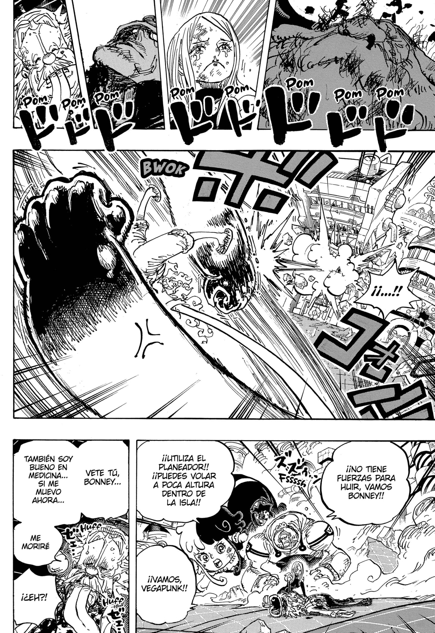 One Piece Capitulo 1107 página 12