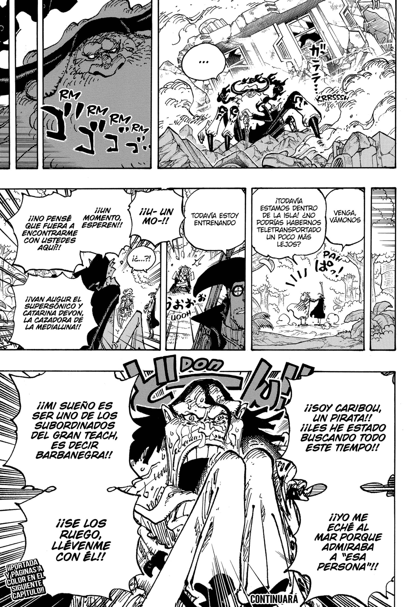 One Piece Capitulo 1107 página 17