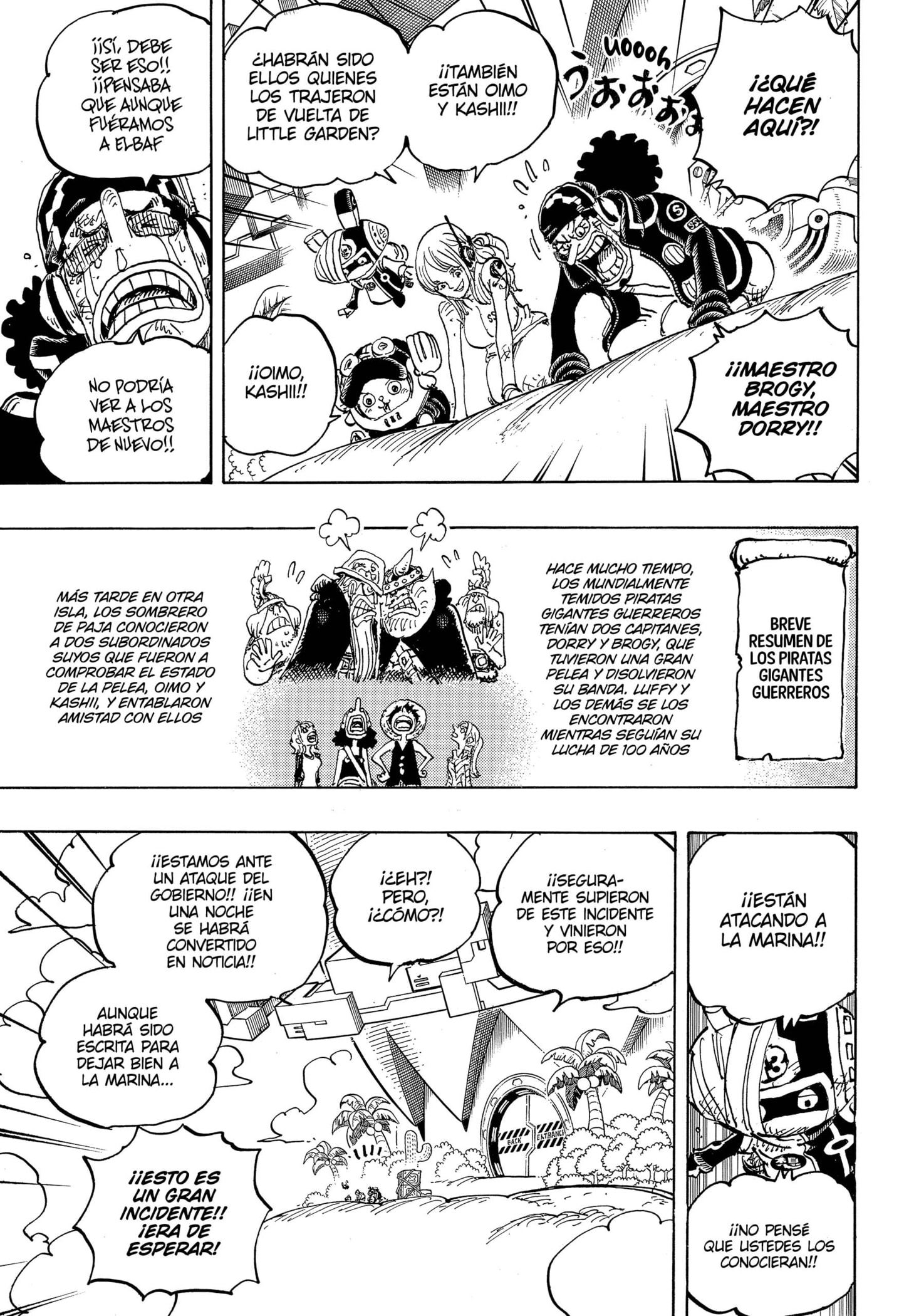 One Piece Capitulo 1107 página 5
