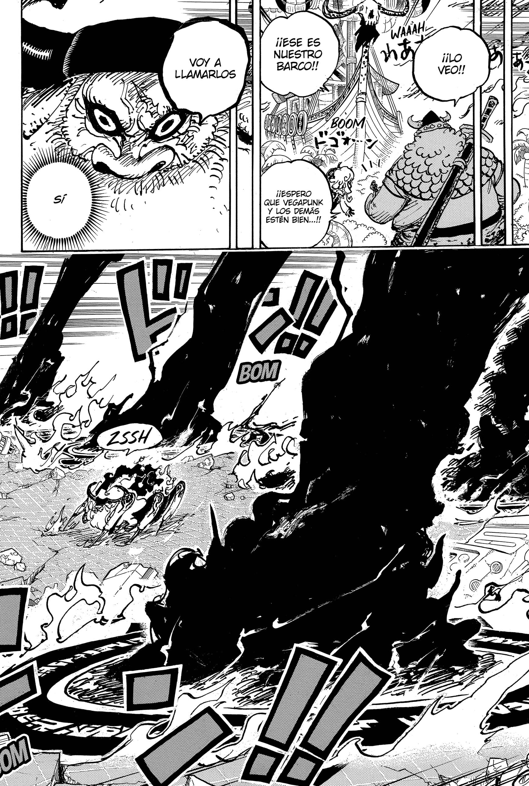 One Piece Capitulo 1109 página 14