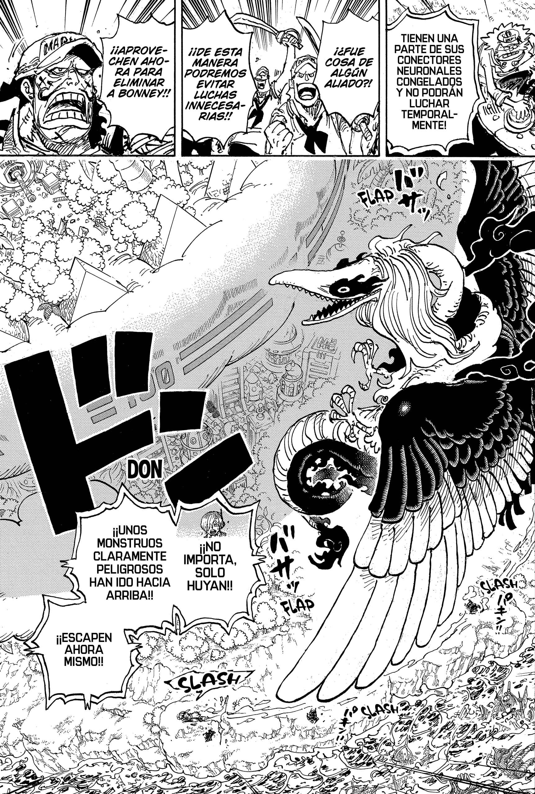 One Piece Capitulo 1110: Estrellas Fugaces página 11