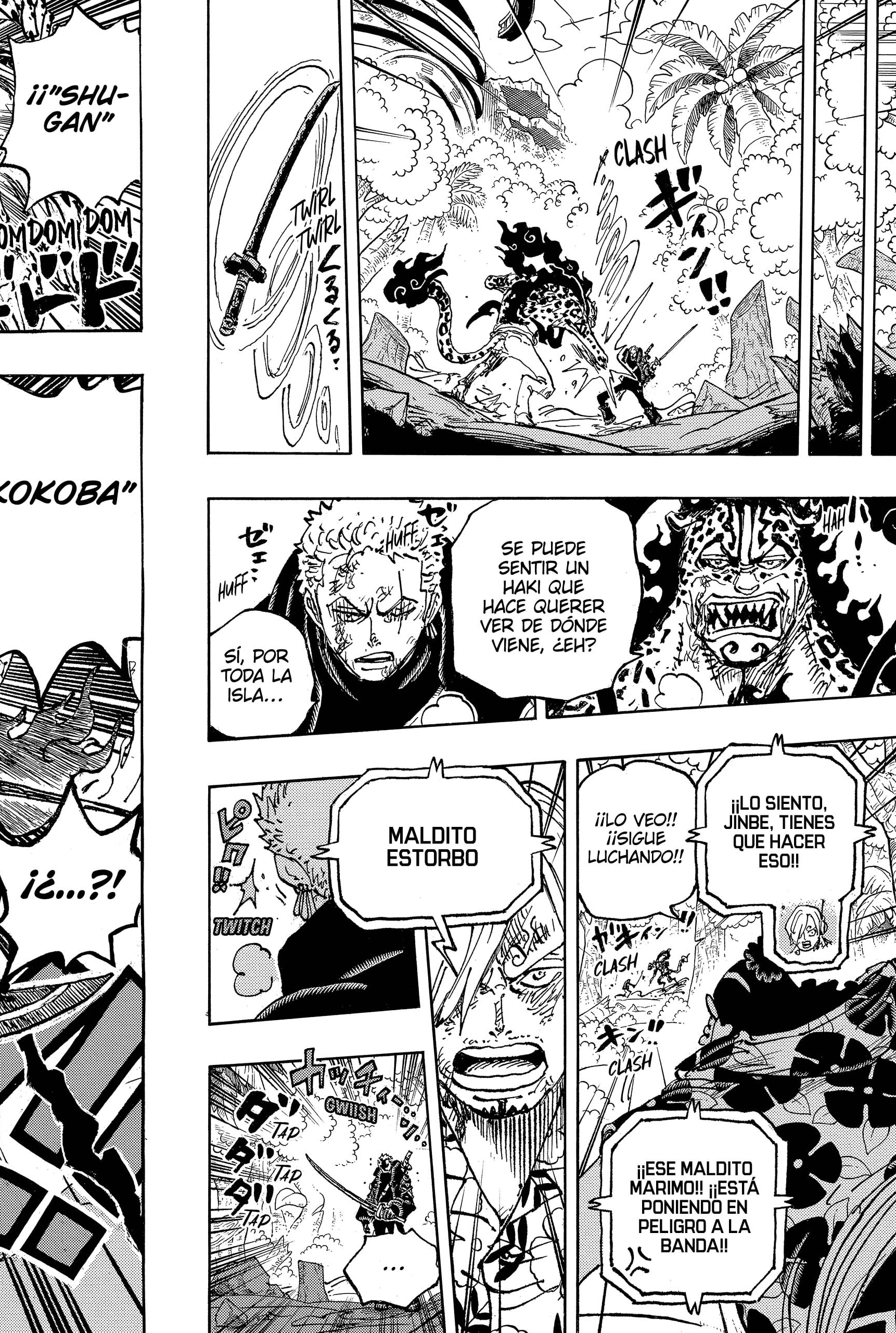 One Piece Capitulo 1110: Estrellas Fugaces página 14