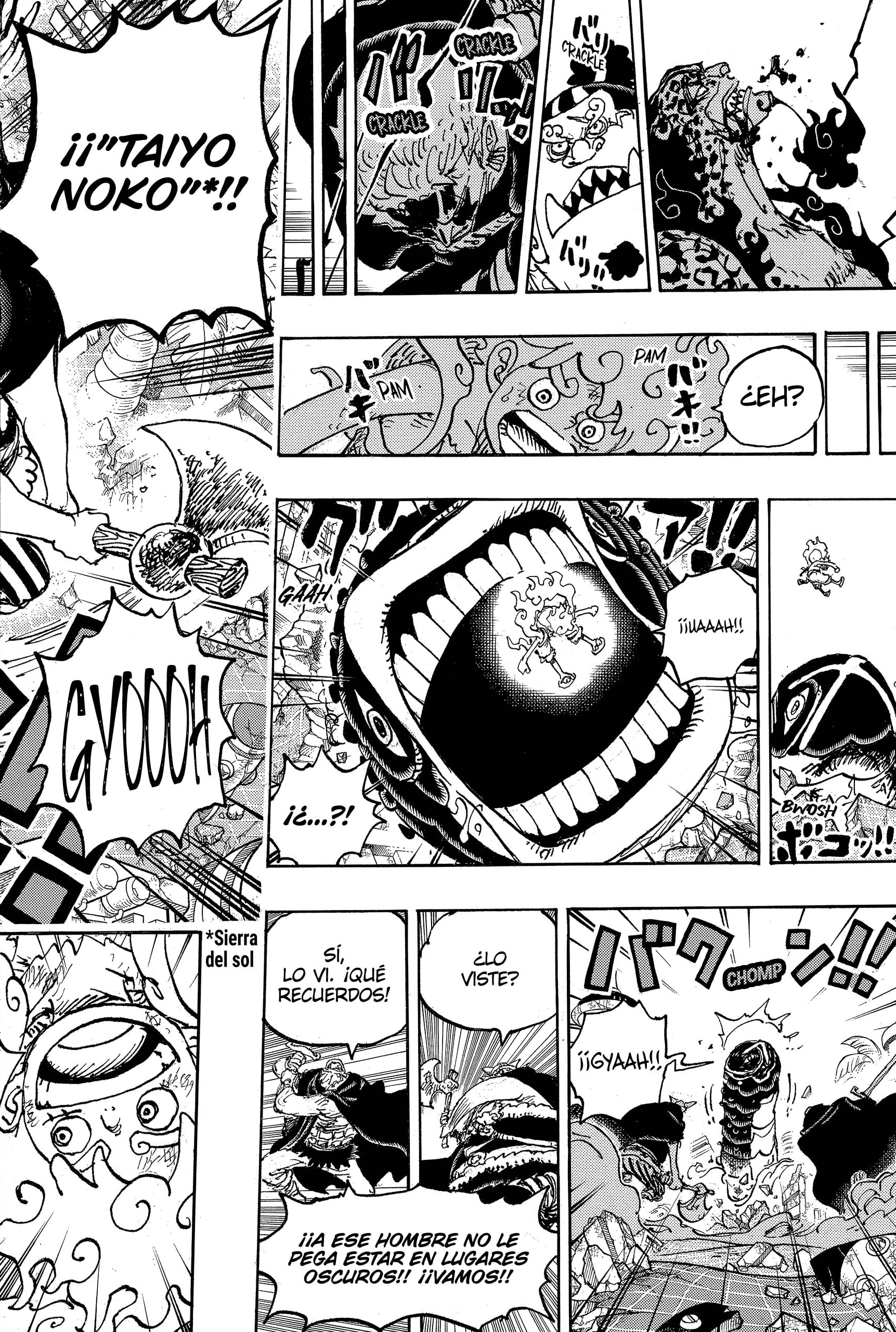 One Piece Capitulo 1110: Estrellas Fugaces página 16